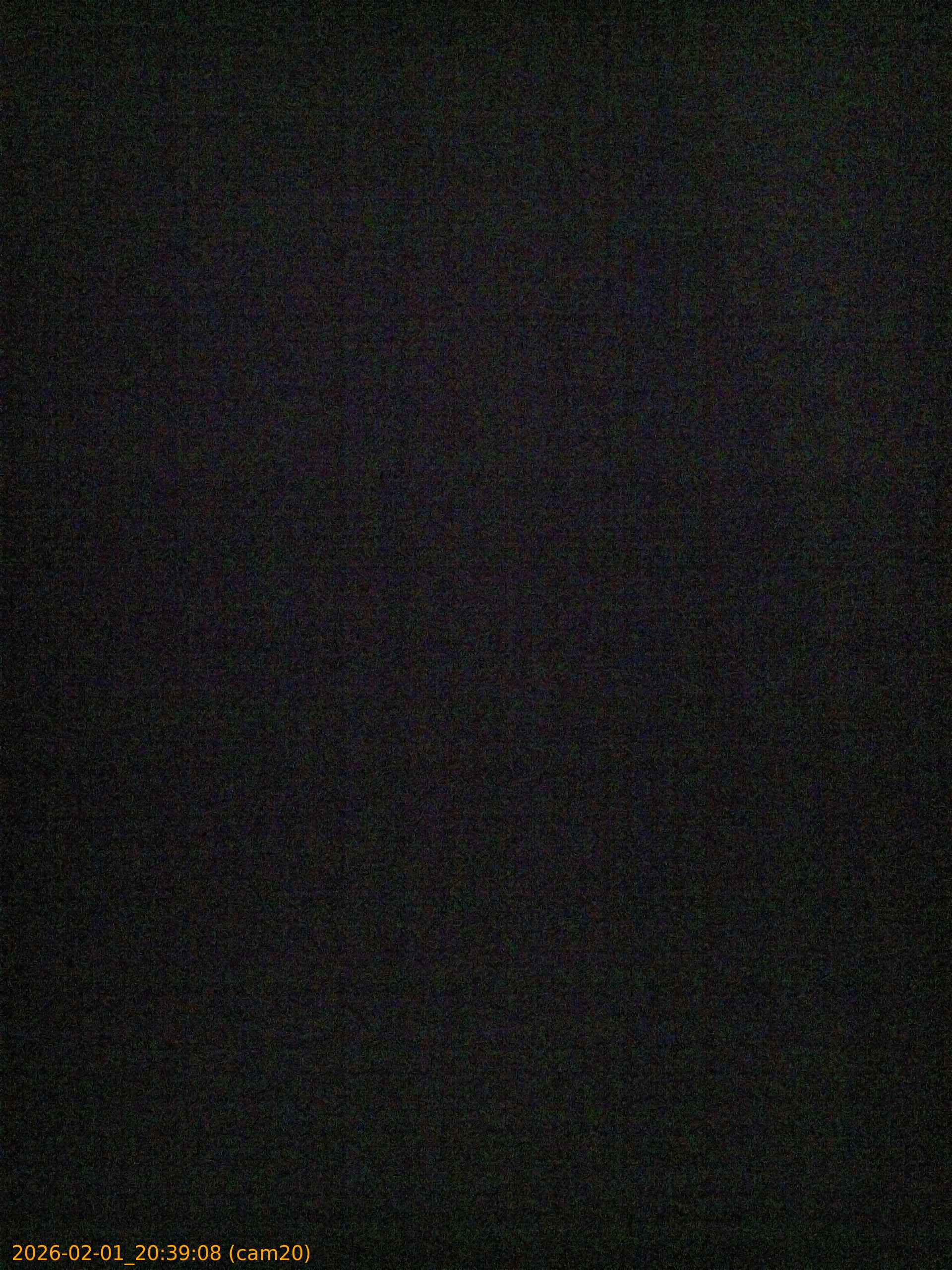 thumbnail_20260201203908