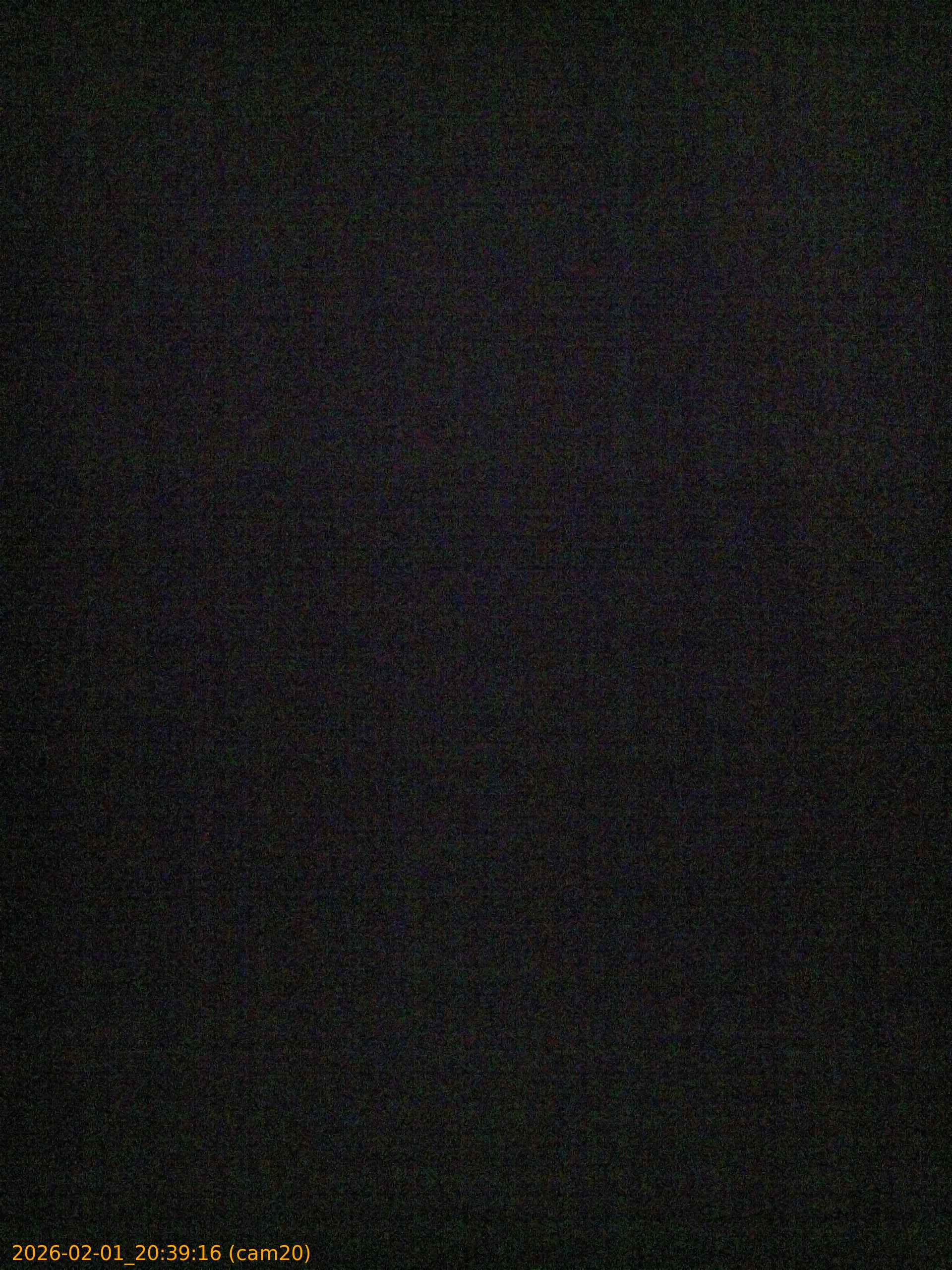 thumbnail_20260201203916