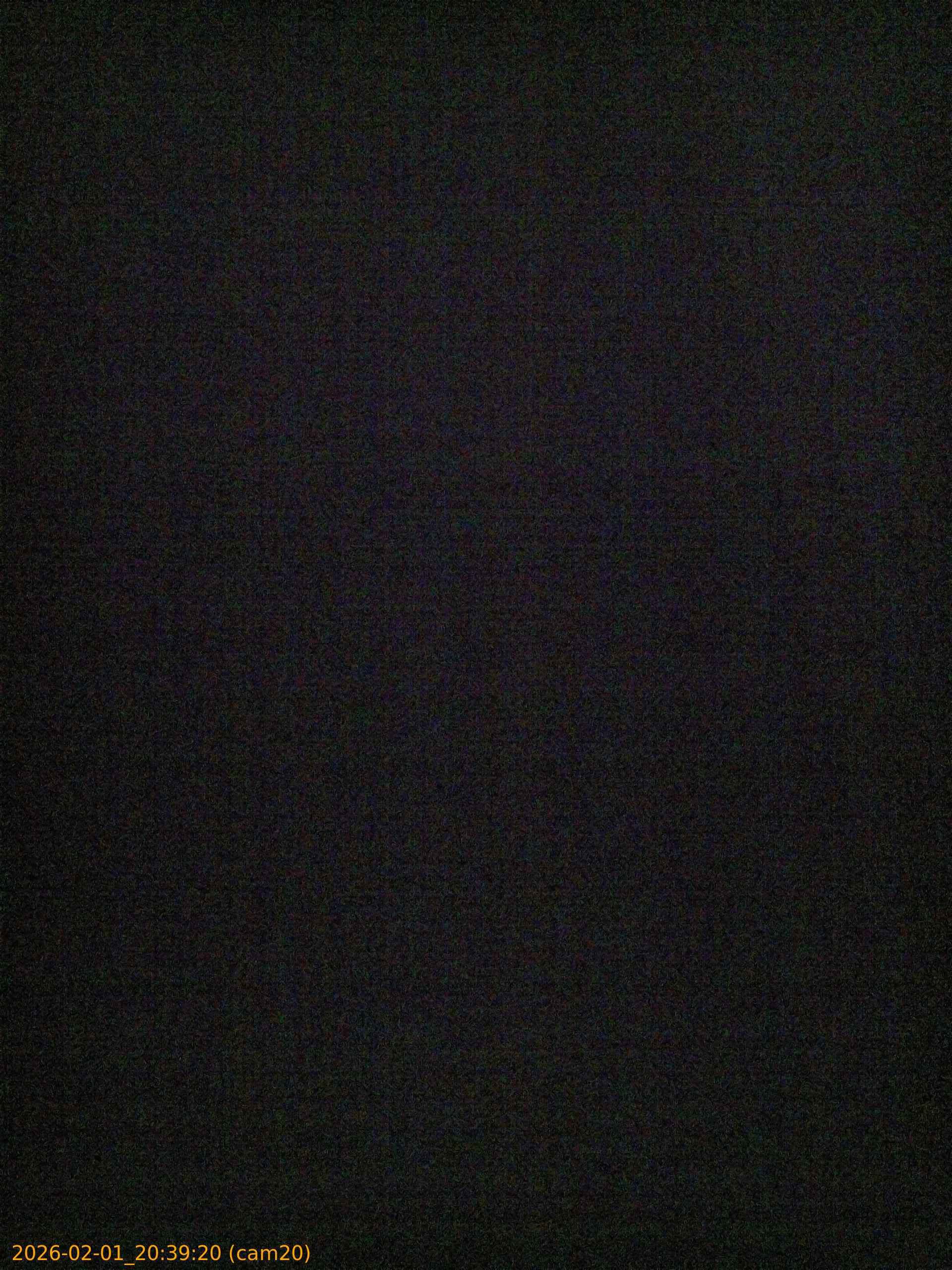 thumbnail_20260201203919