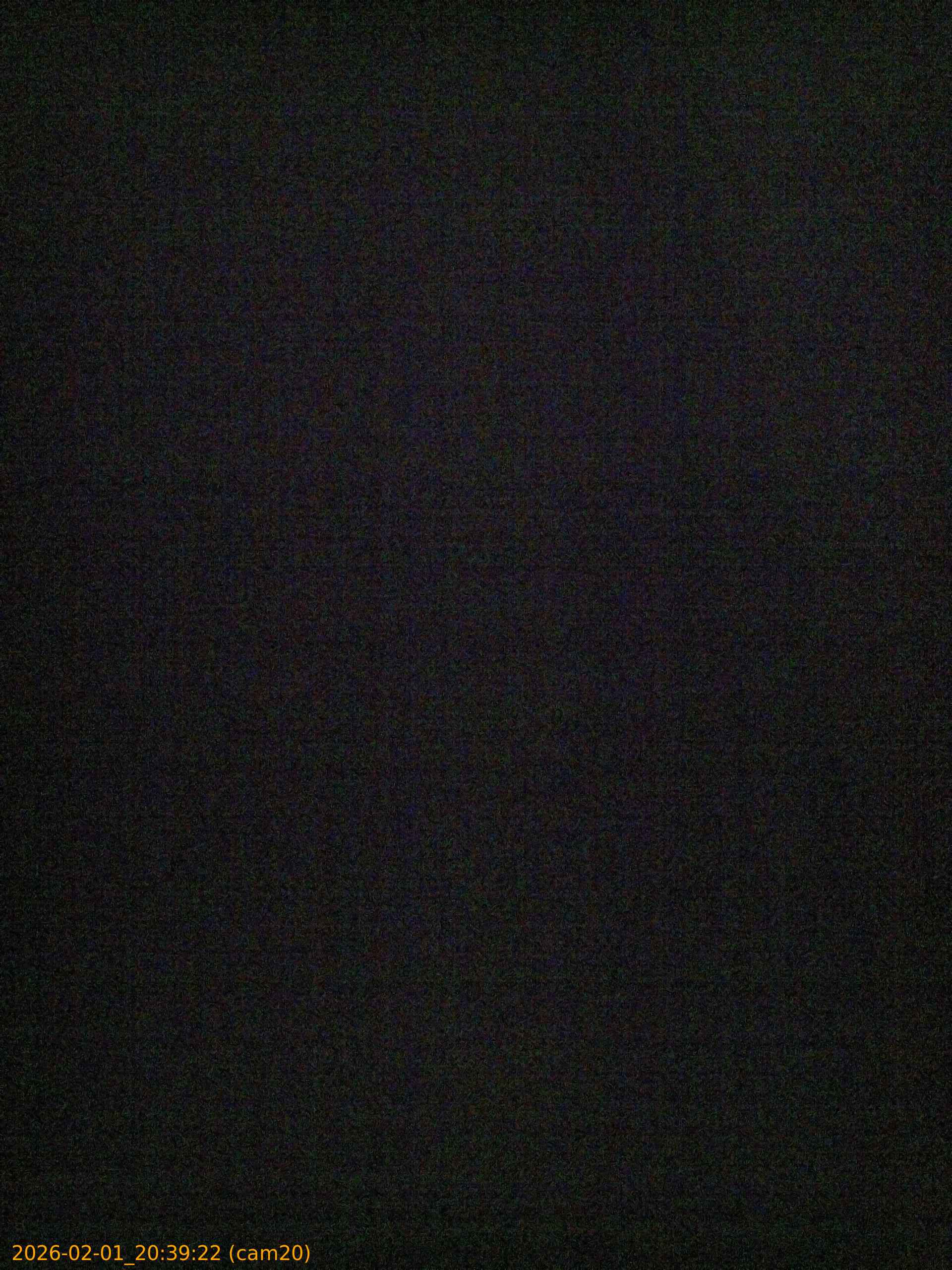 thumbnail_20260201203922