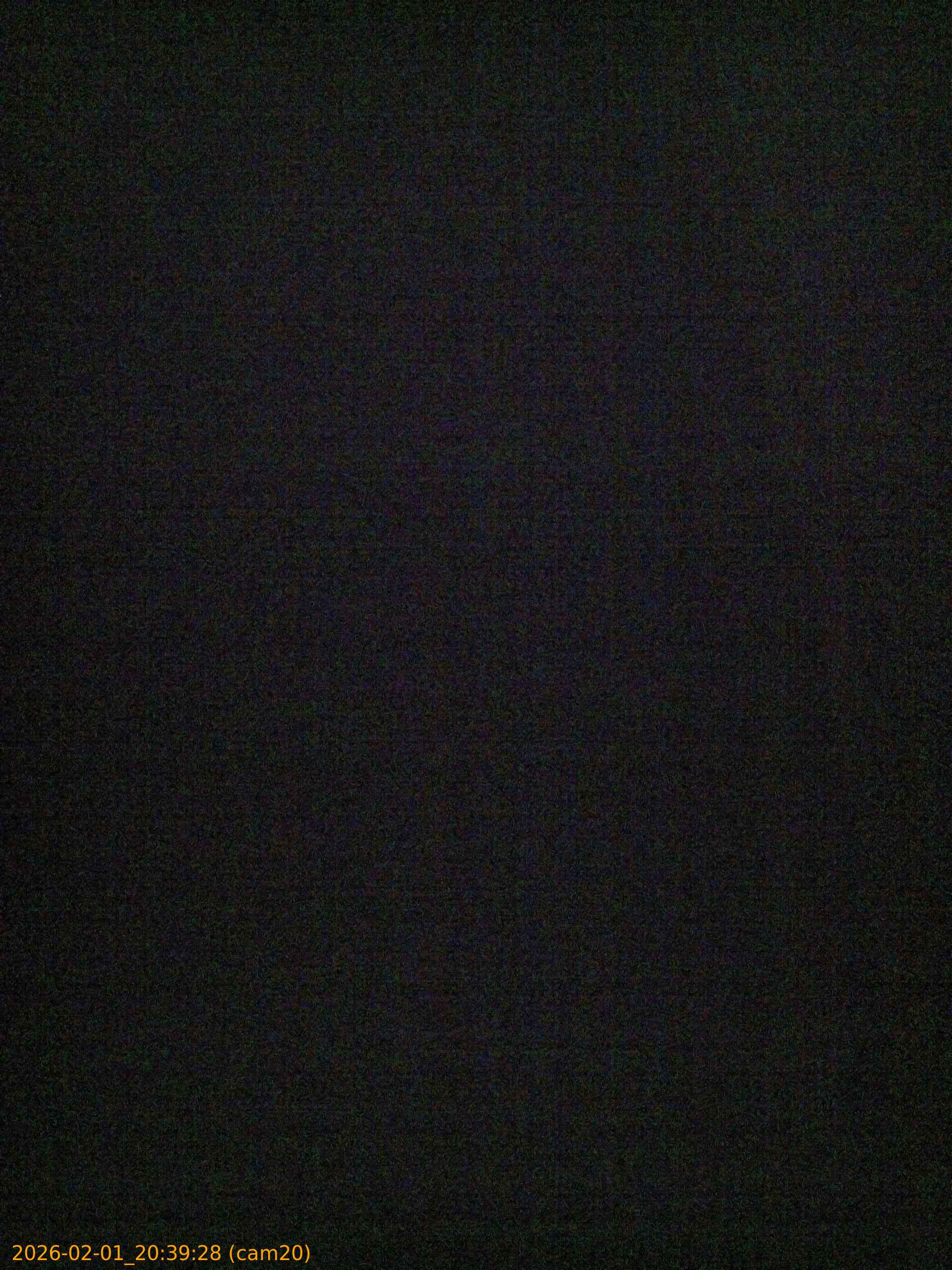 thumbnail_20260201203928