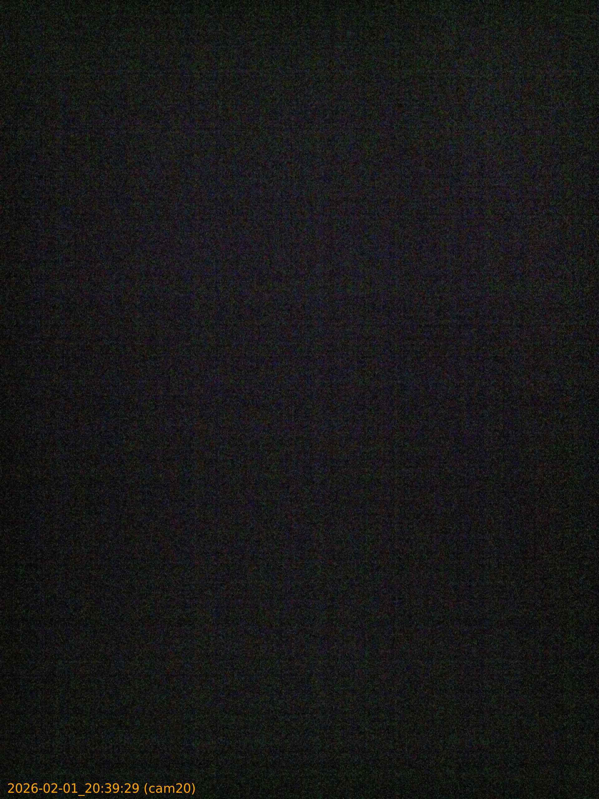 thumbnail_20260201203929