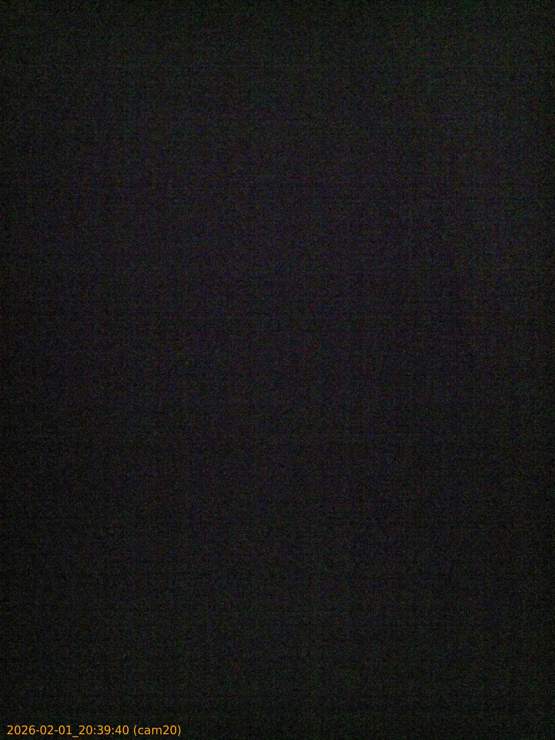 thumbnail_20260201203940