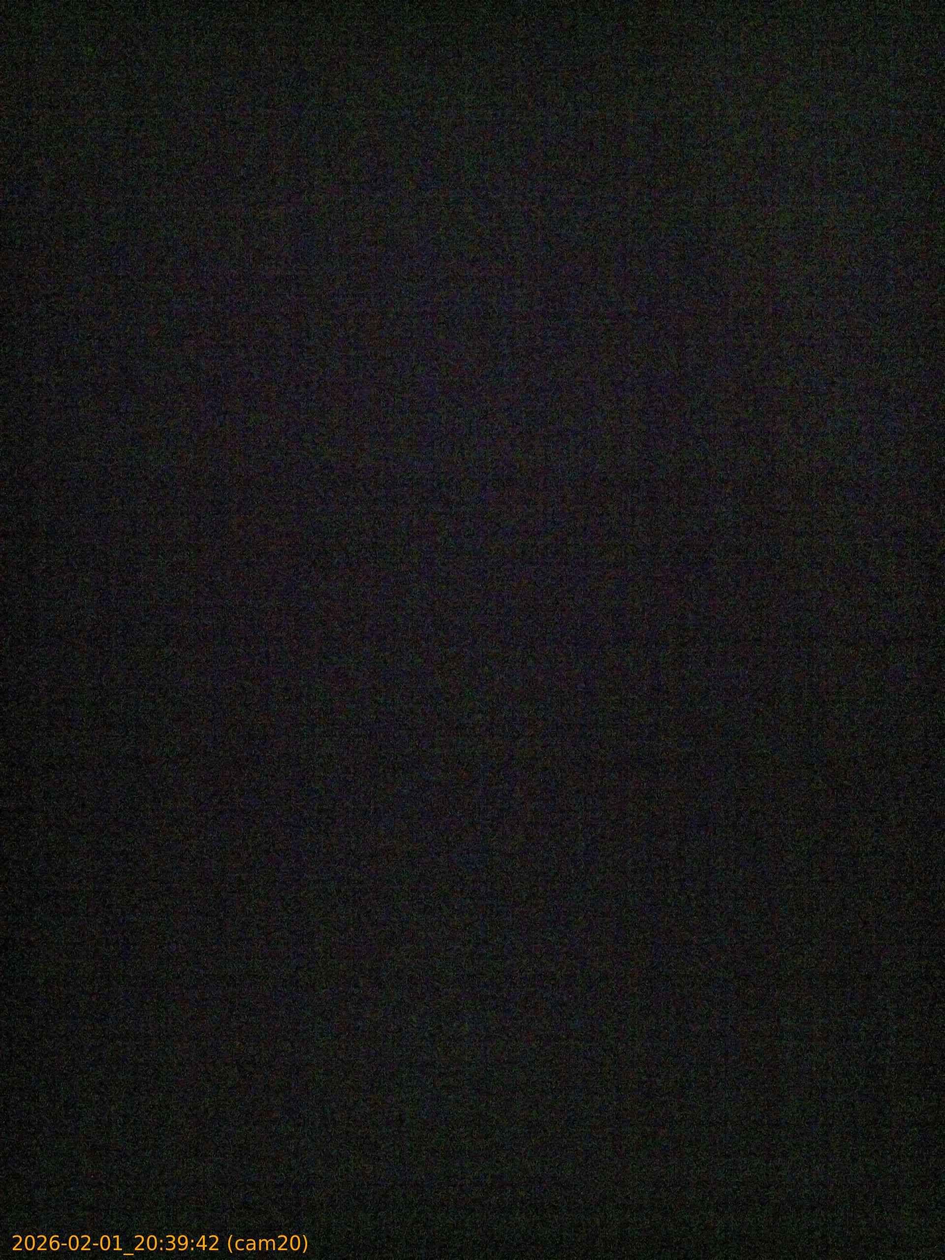 thumbnail_20260201203942