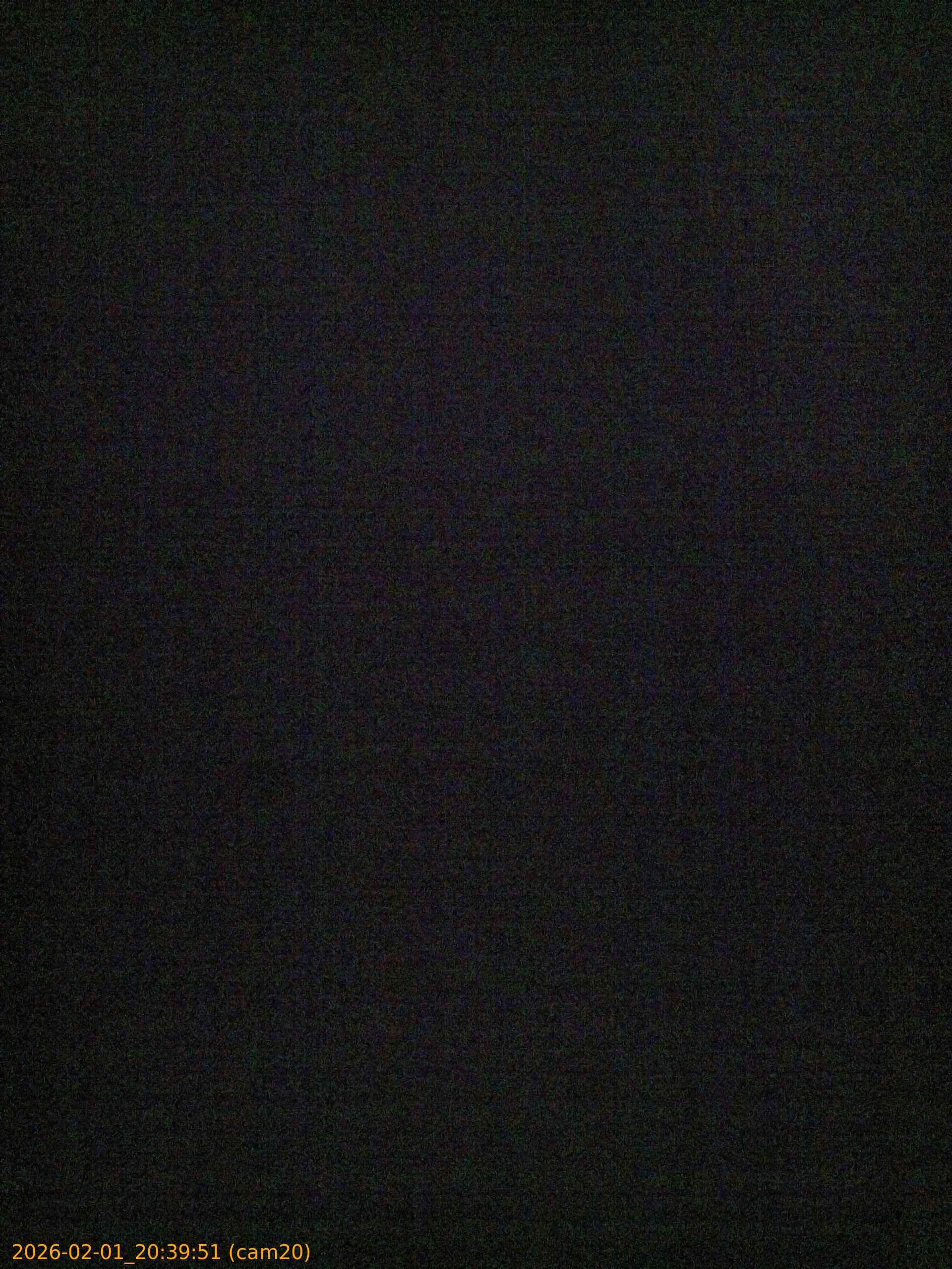 thumbnail_20260201203951