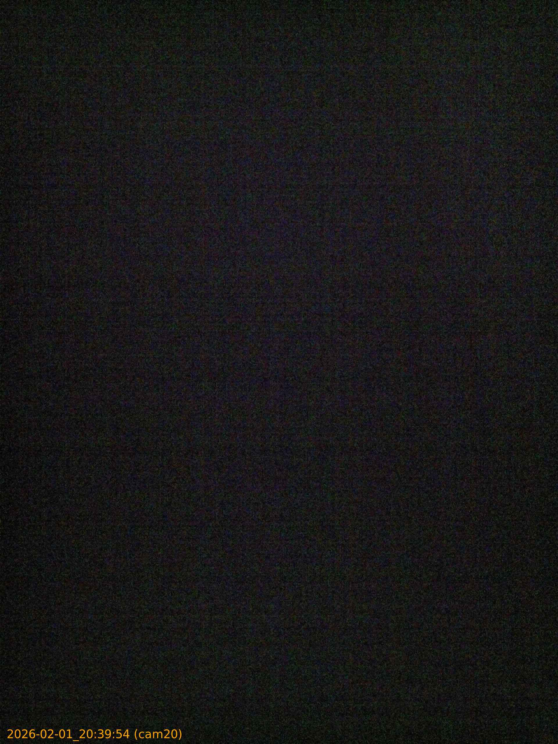 thumbnail_20260201203954