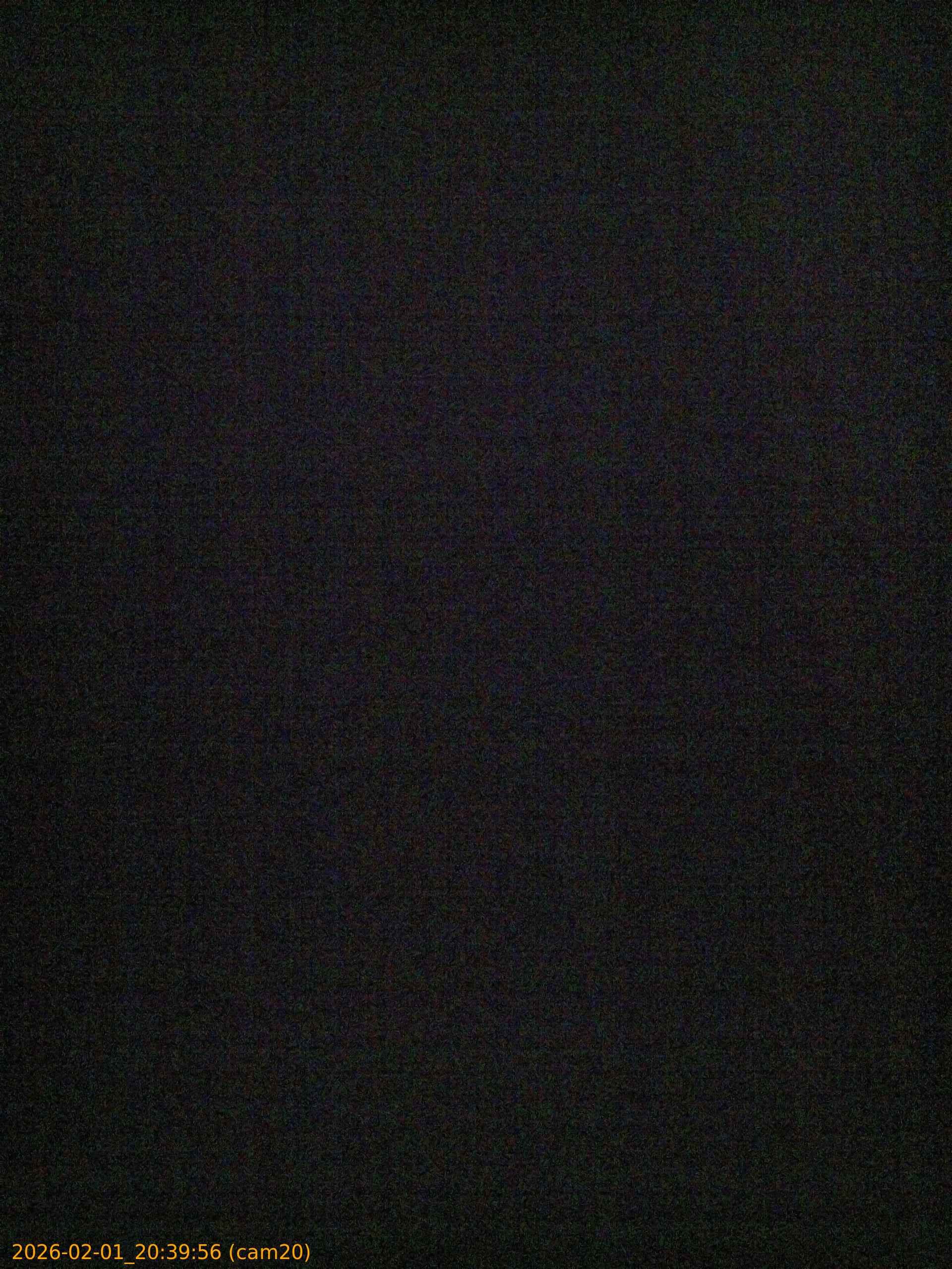 thumbnail_20260201203956