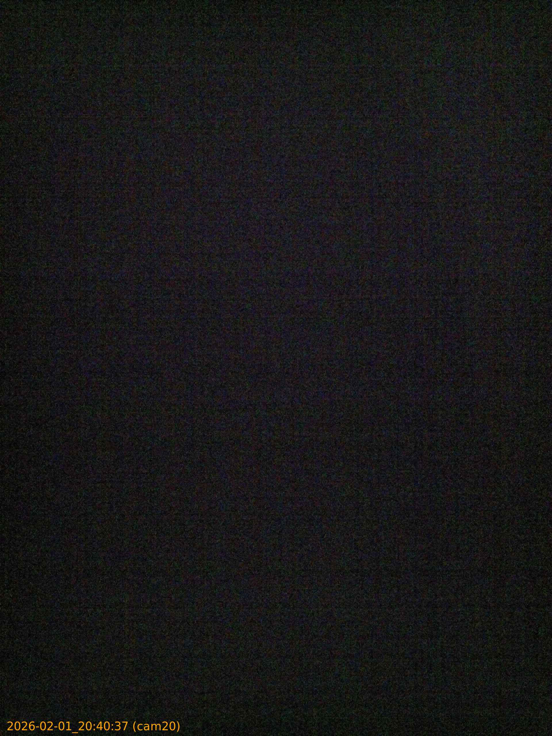 thumbnail_20260201204037