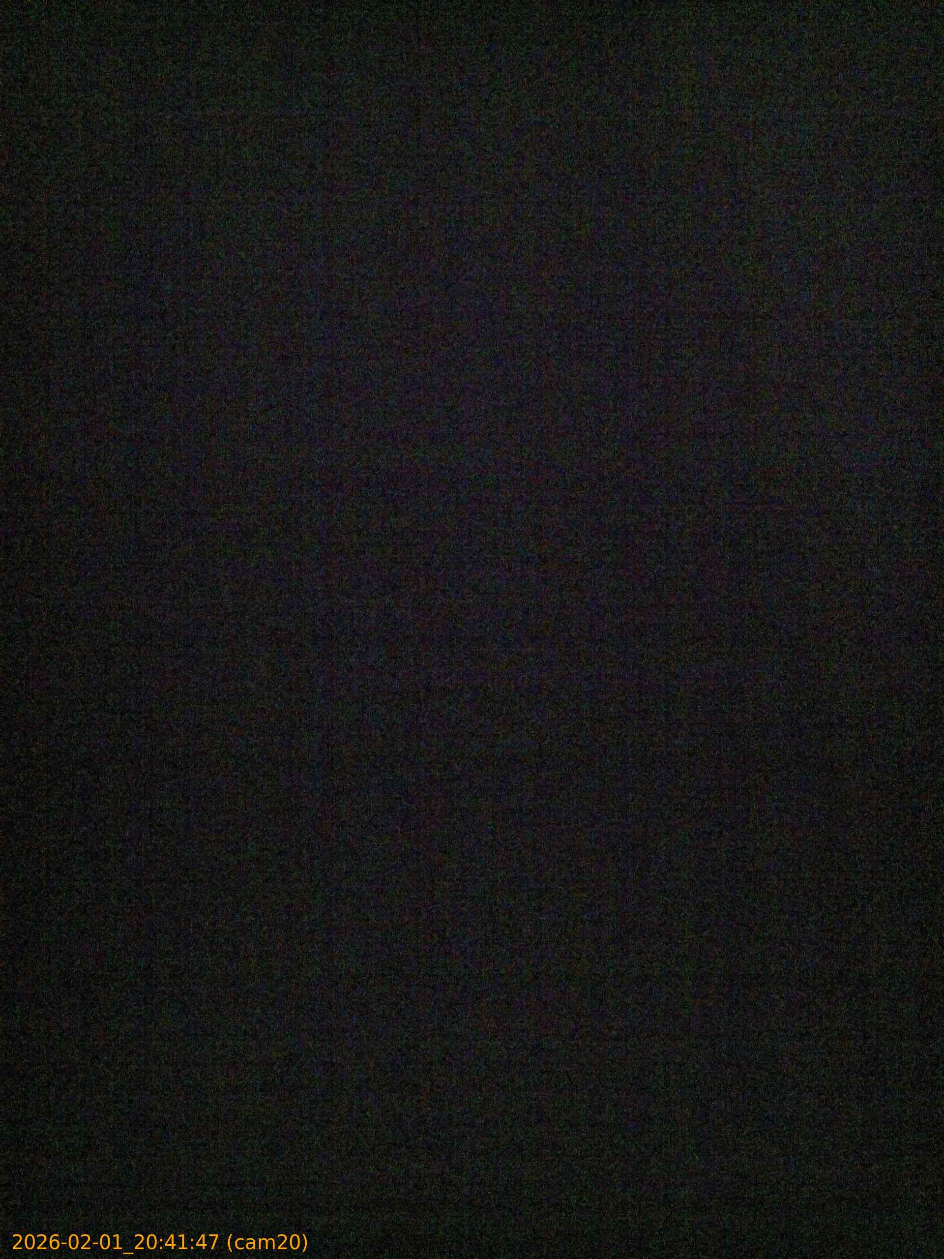 20260201204147