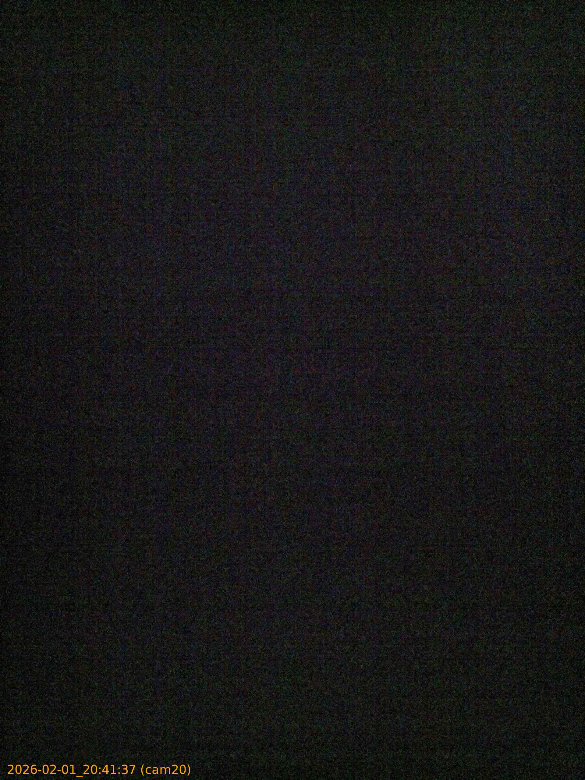 thumbnail_20260201204137