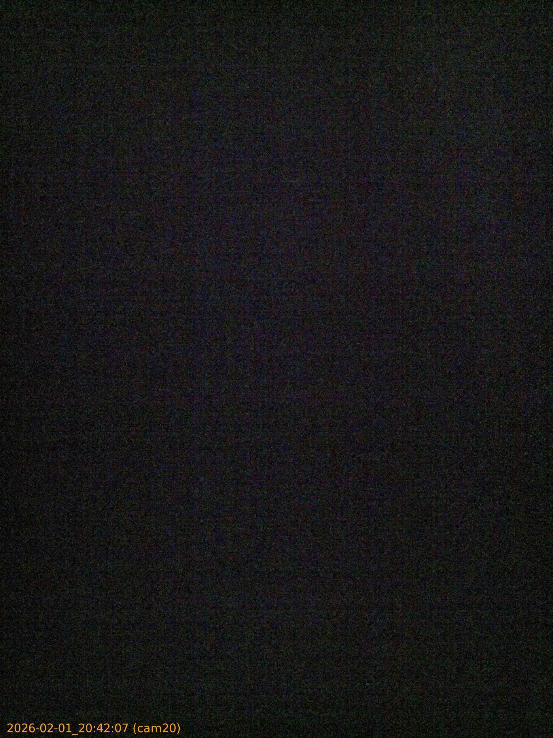 20260201204207