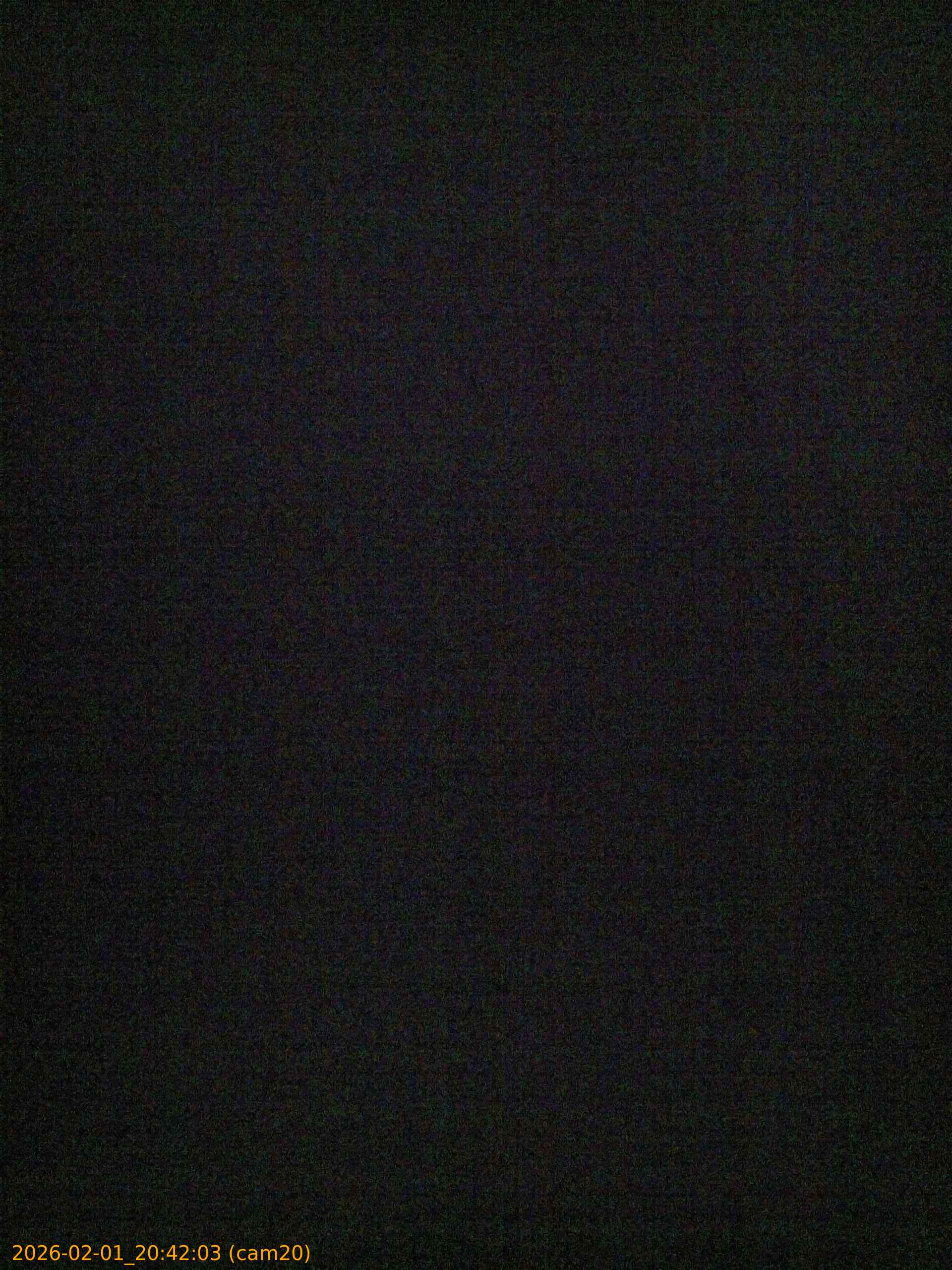 thumbnail_20260201204203