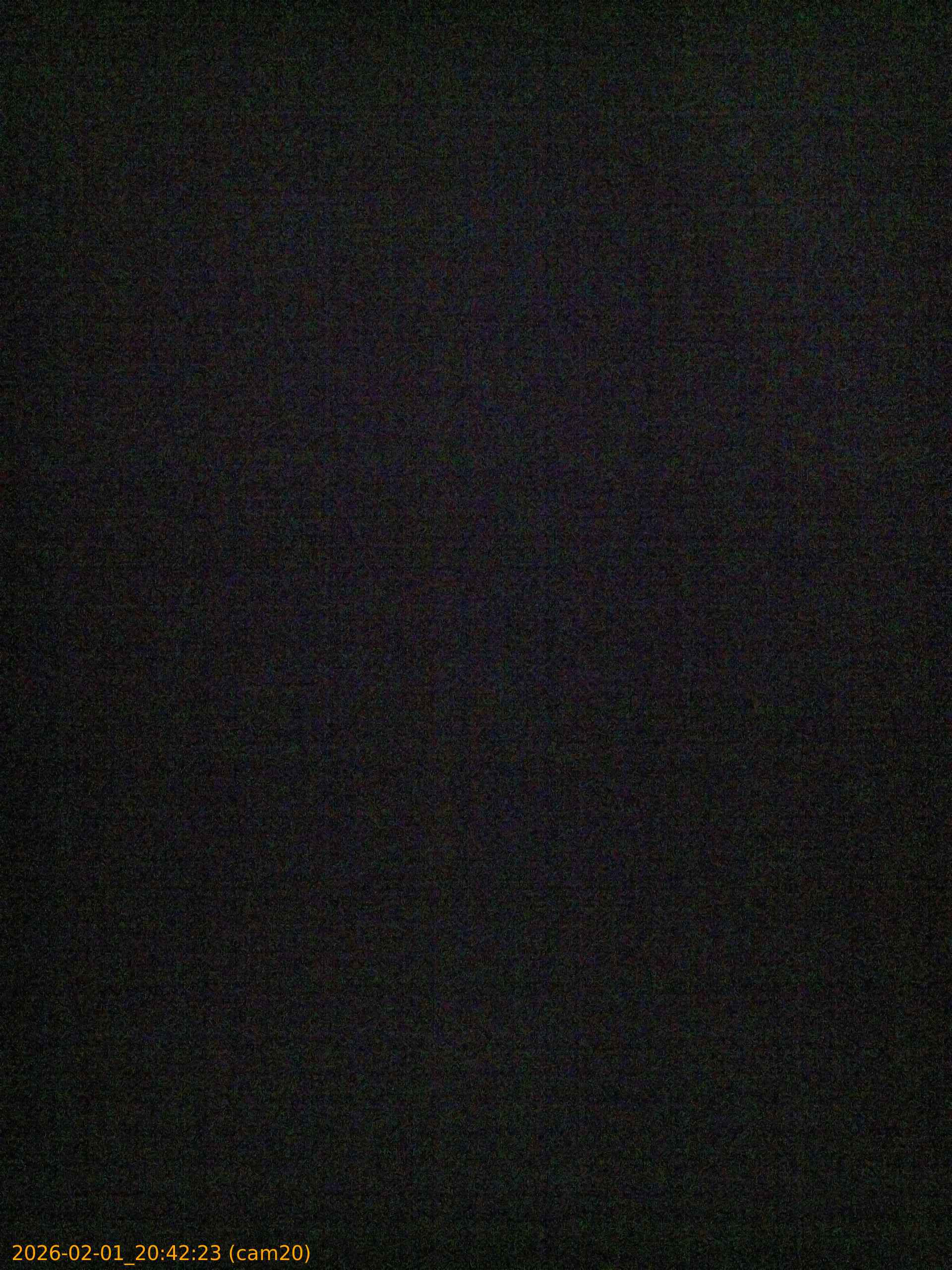 thumbnail_20260201204223