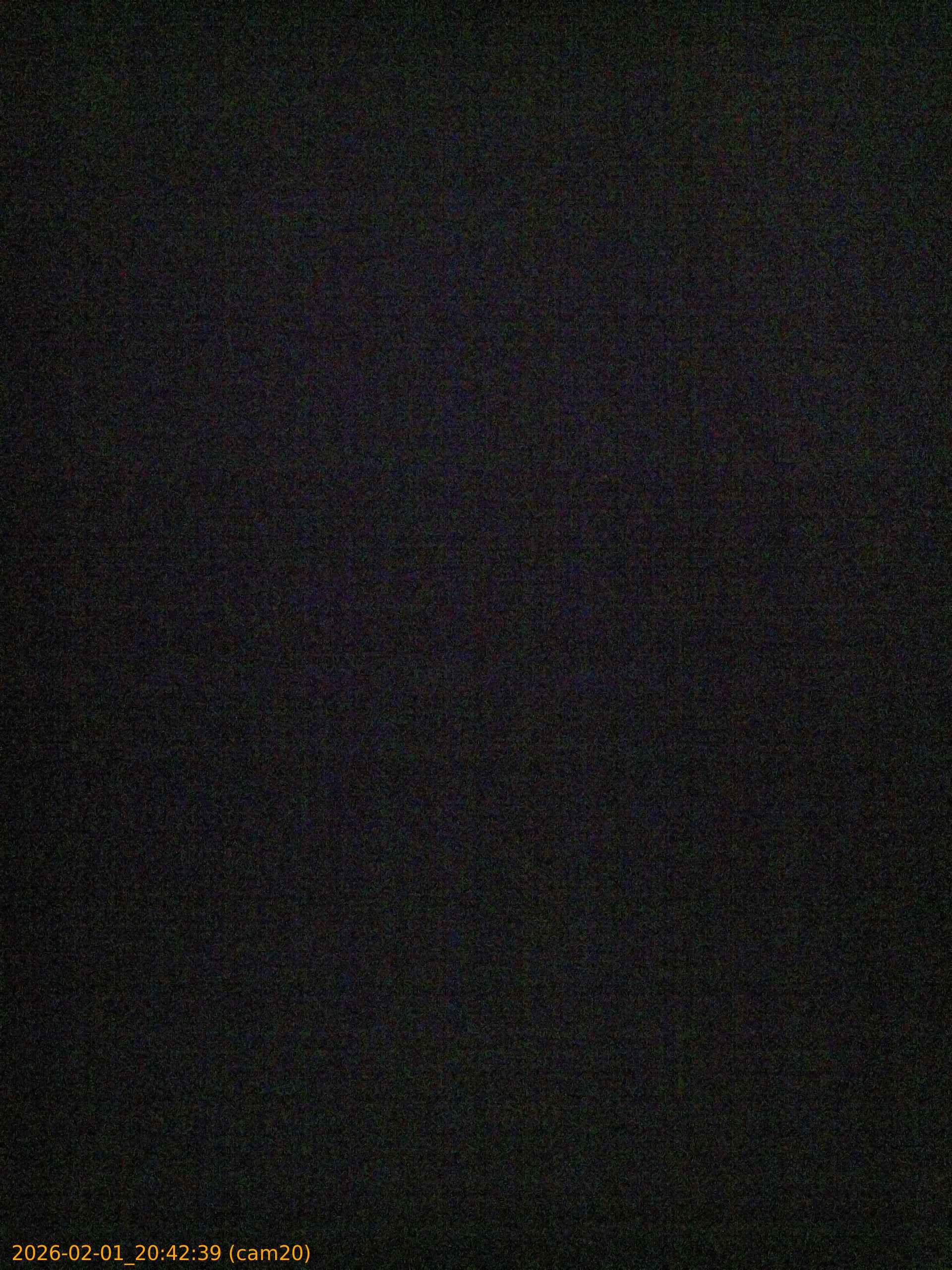 thumbnail_20260201204239