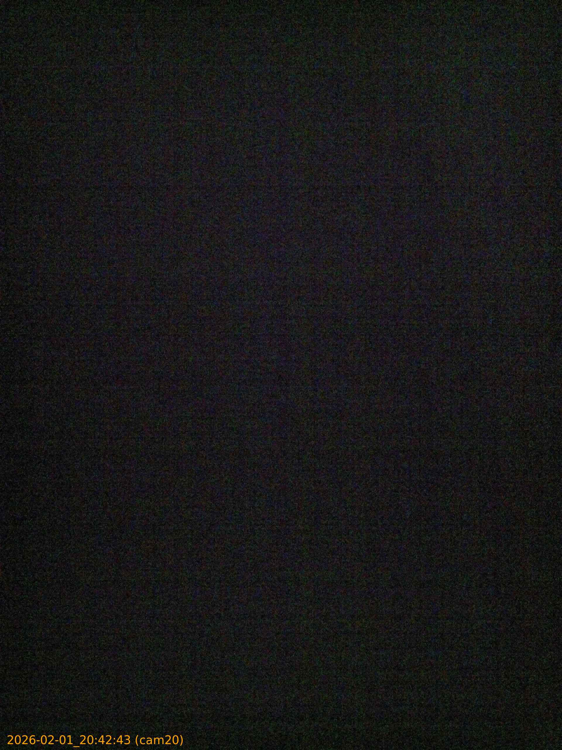 thumbnail_20260201204243