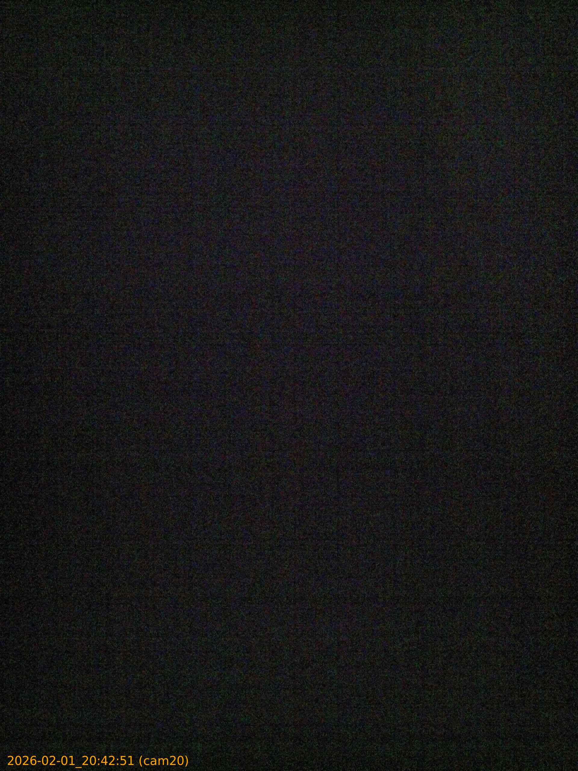 thumbnail_20260201204251