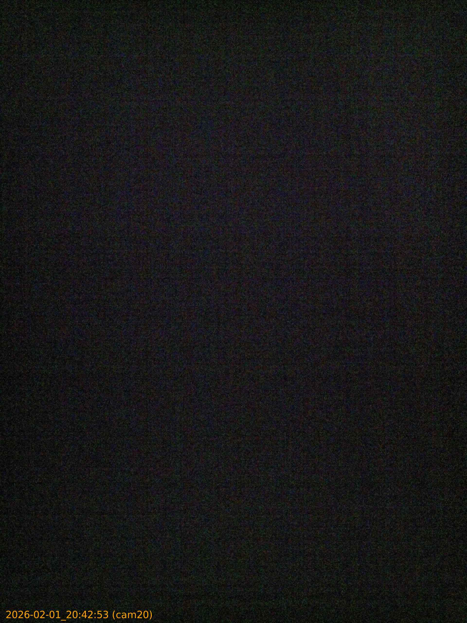 thumbnail_20260201204253