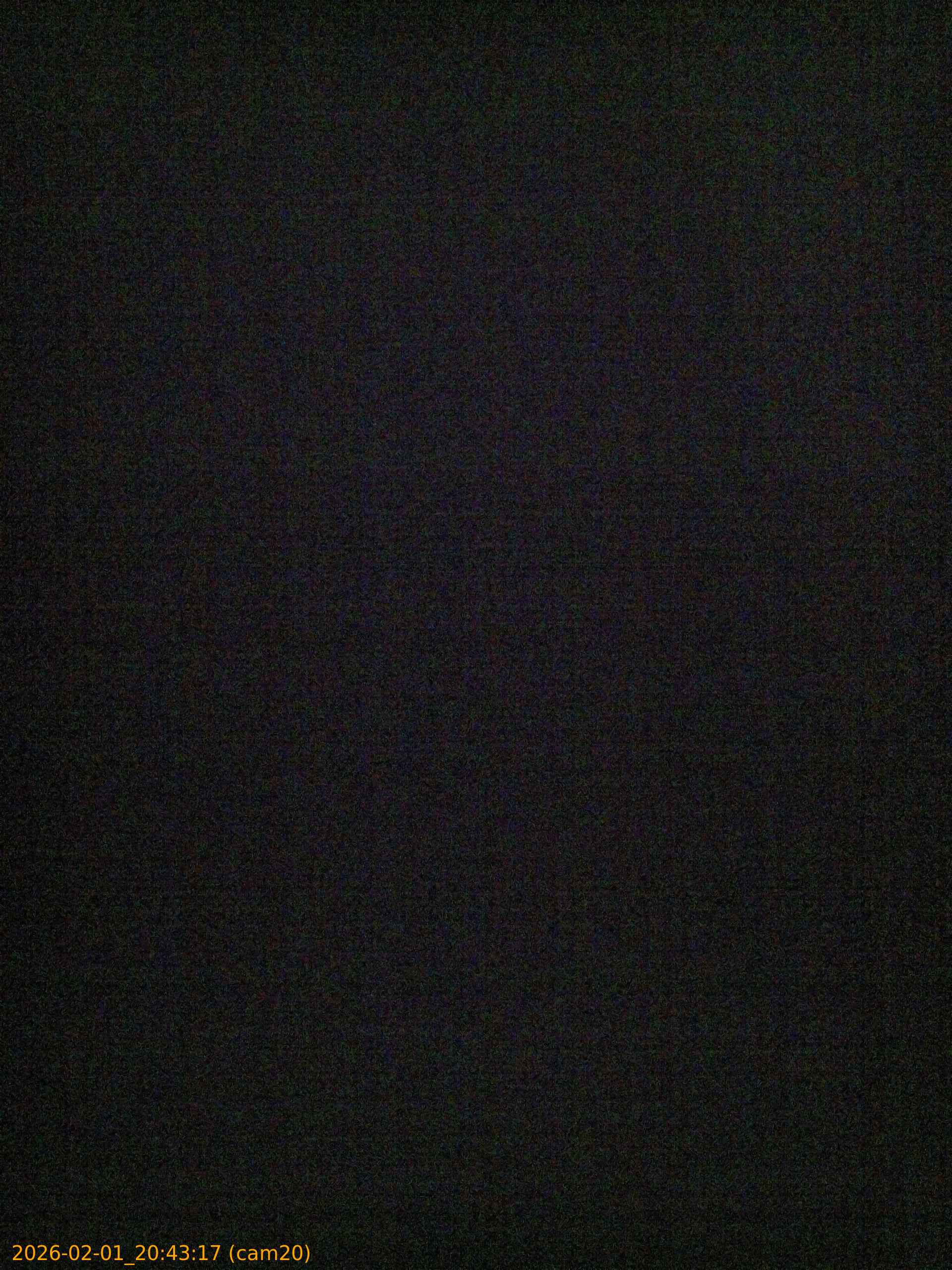 20260201204317
