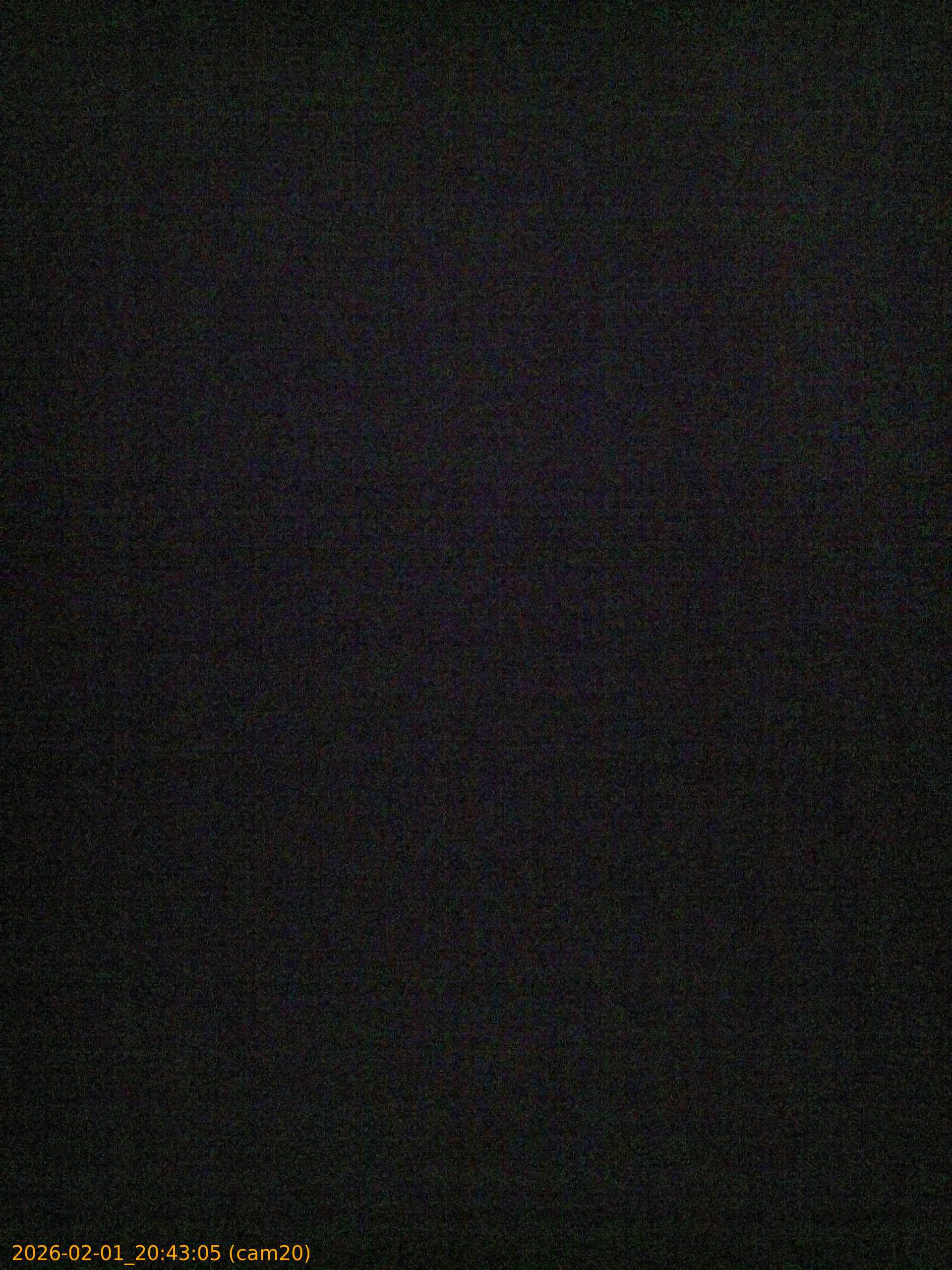 thumbnail_20260201204305