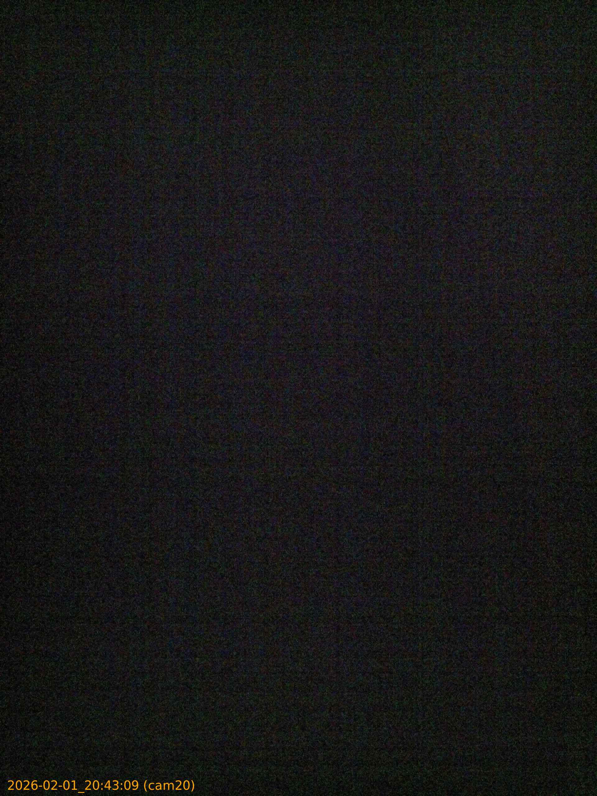 thumbnail_20260201204309