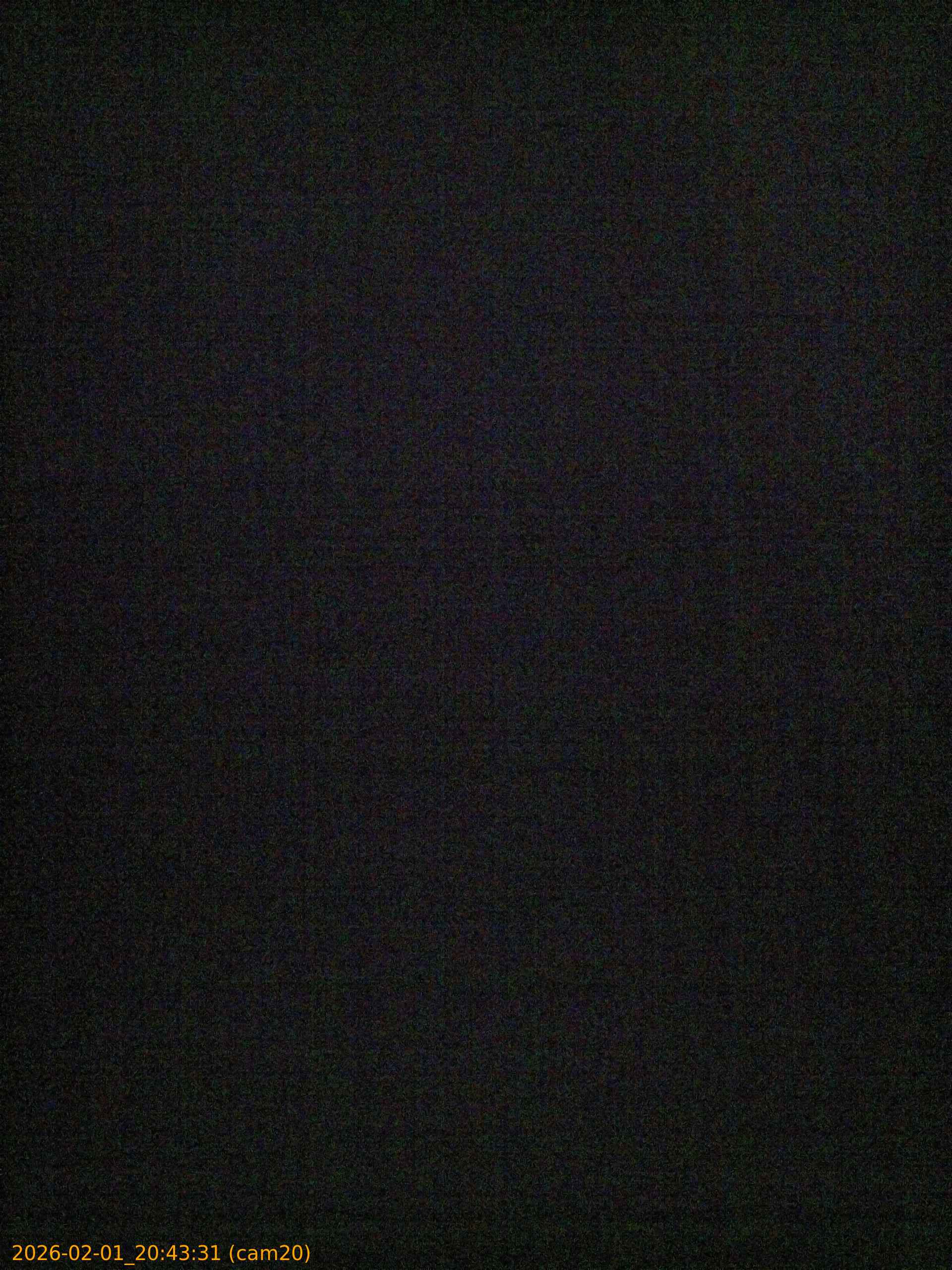 thumbnail_20260201204331