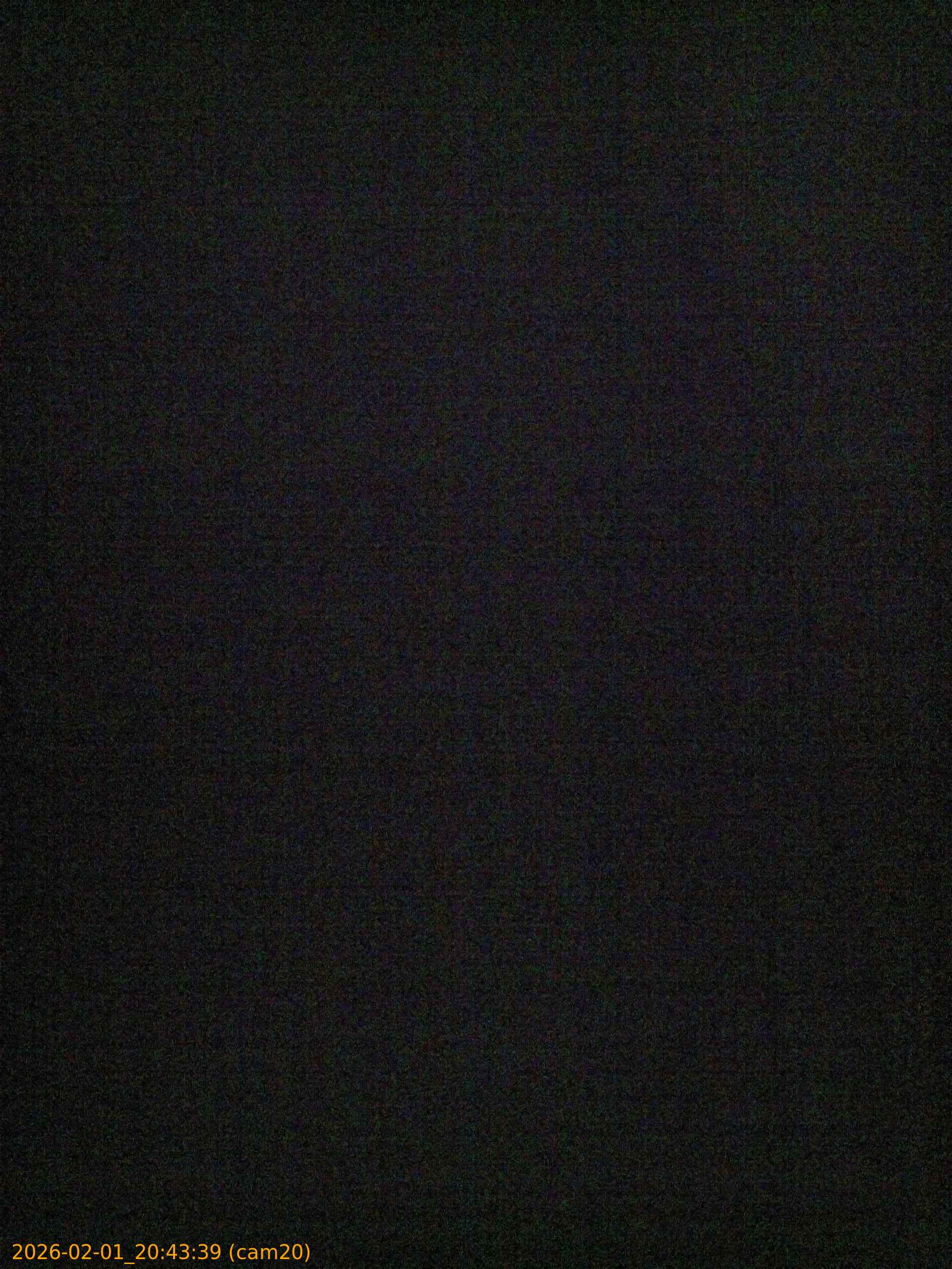 thumbnail_20260201204339