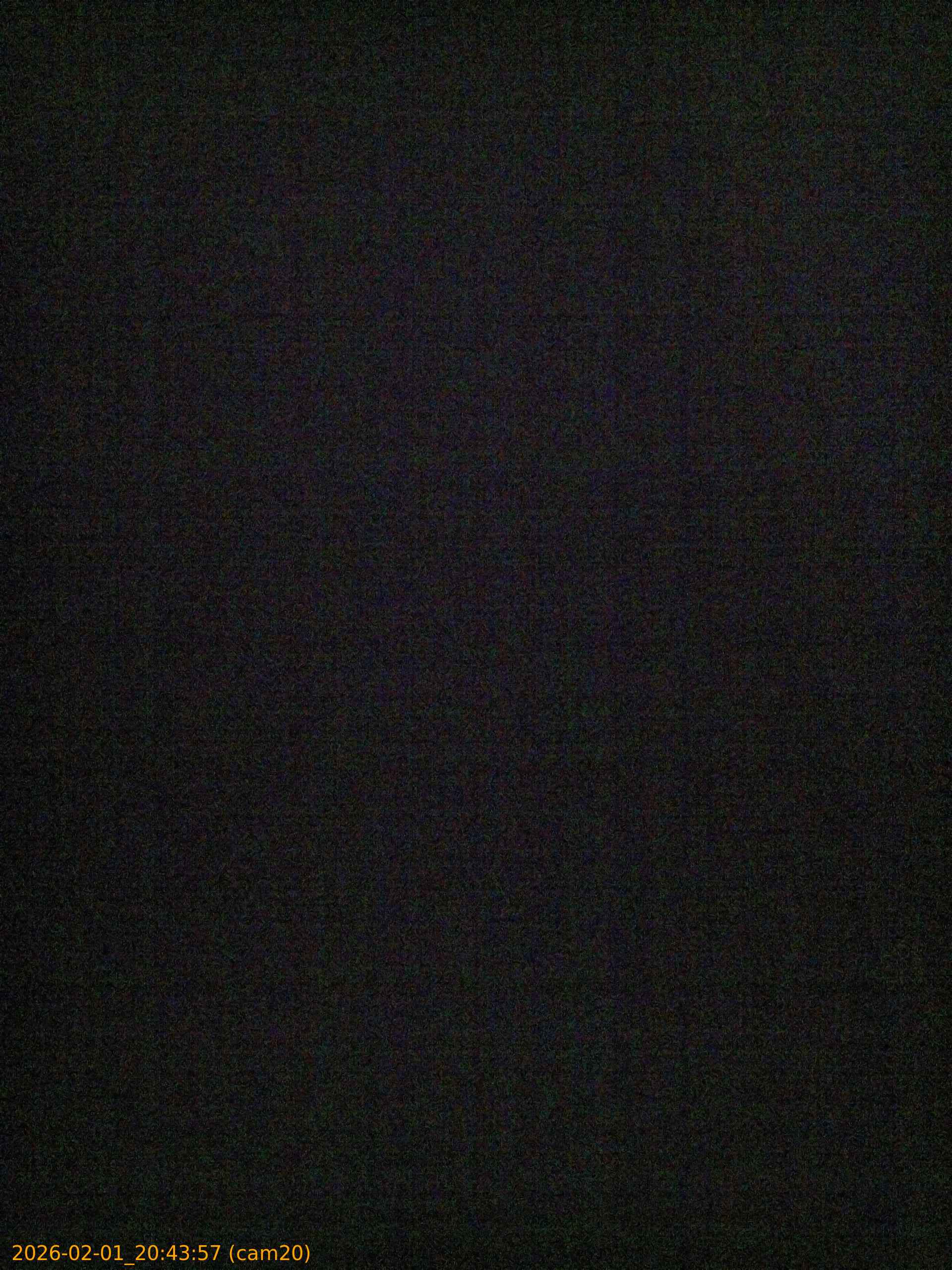 thumbnail_20260201204357