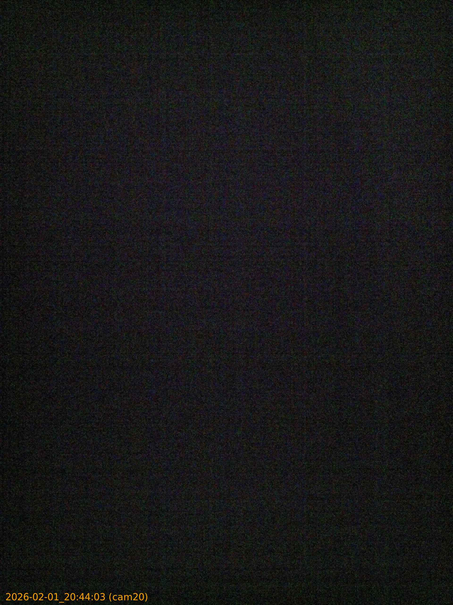 thumbnail_20260201204403