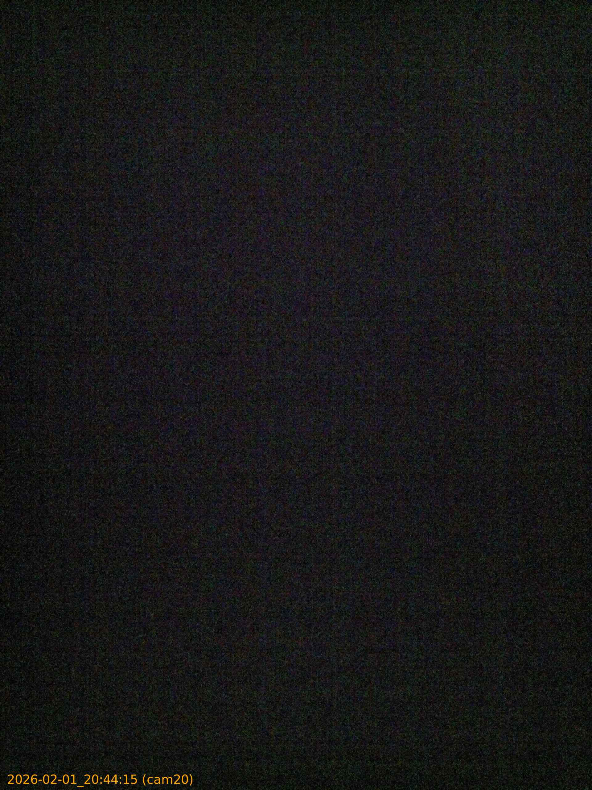 thumbnail_20260201204415