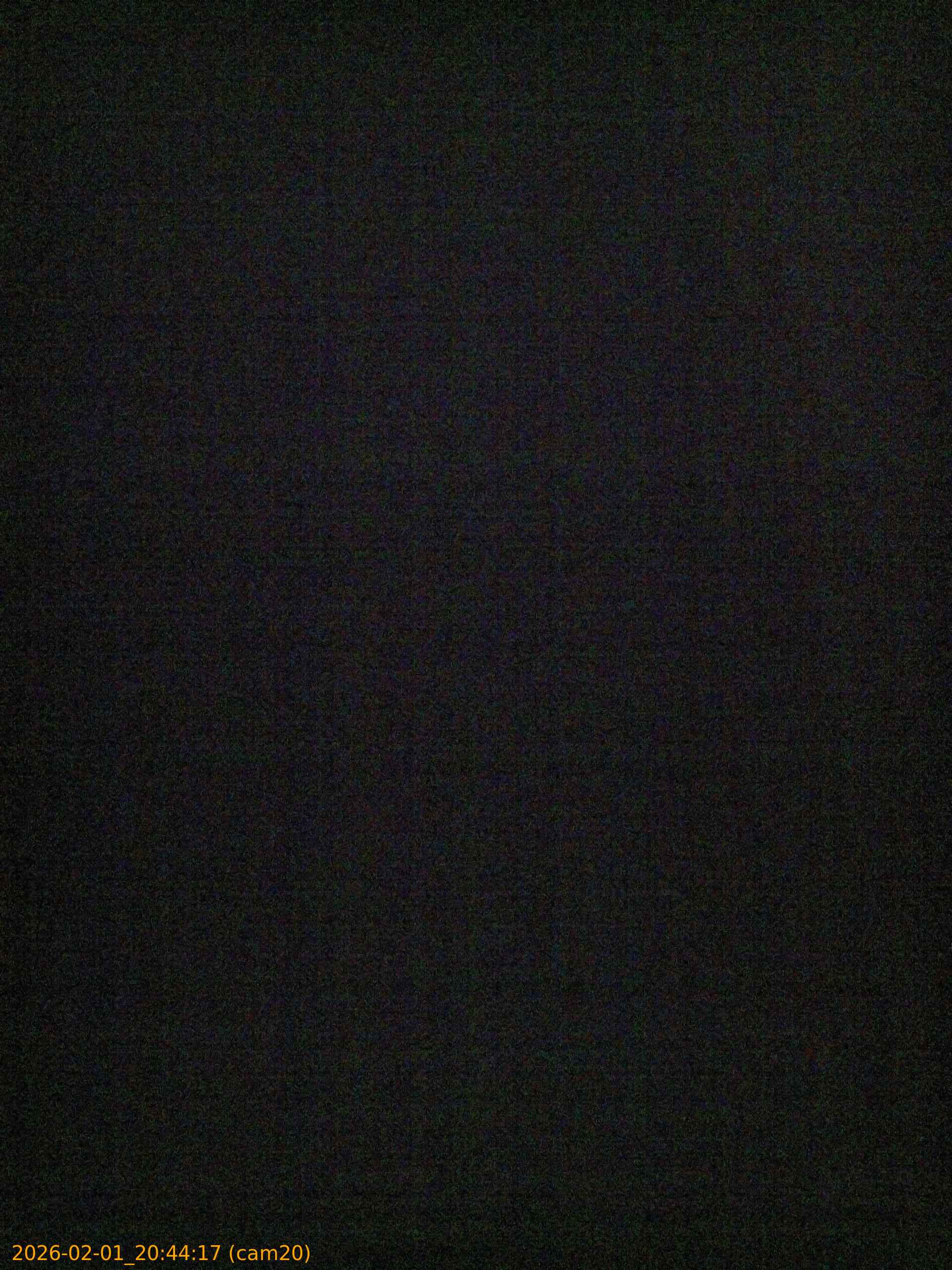 thumbnail_20260201204417