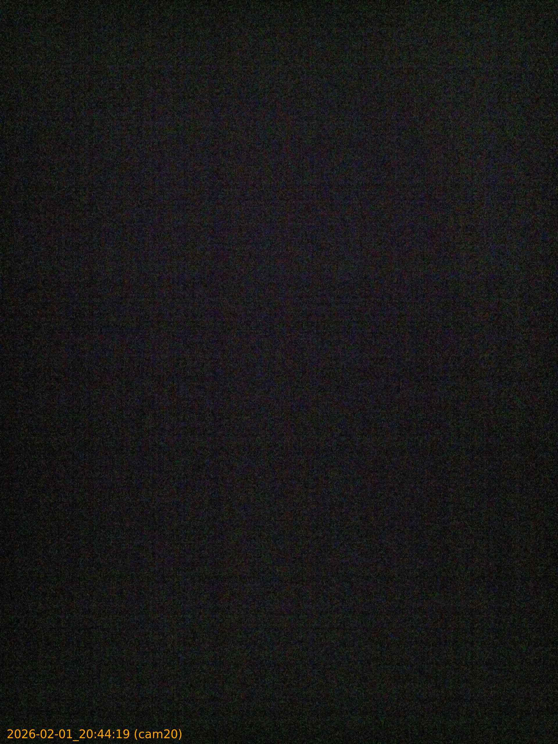 thumbnail_20260201204419