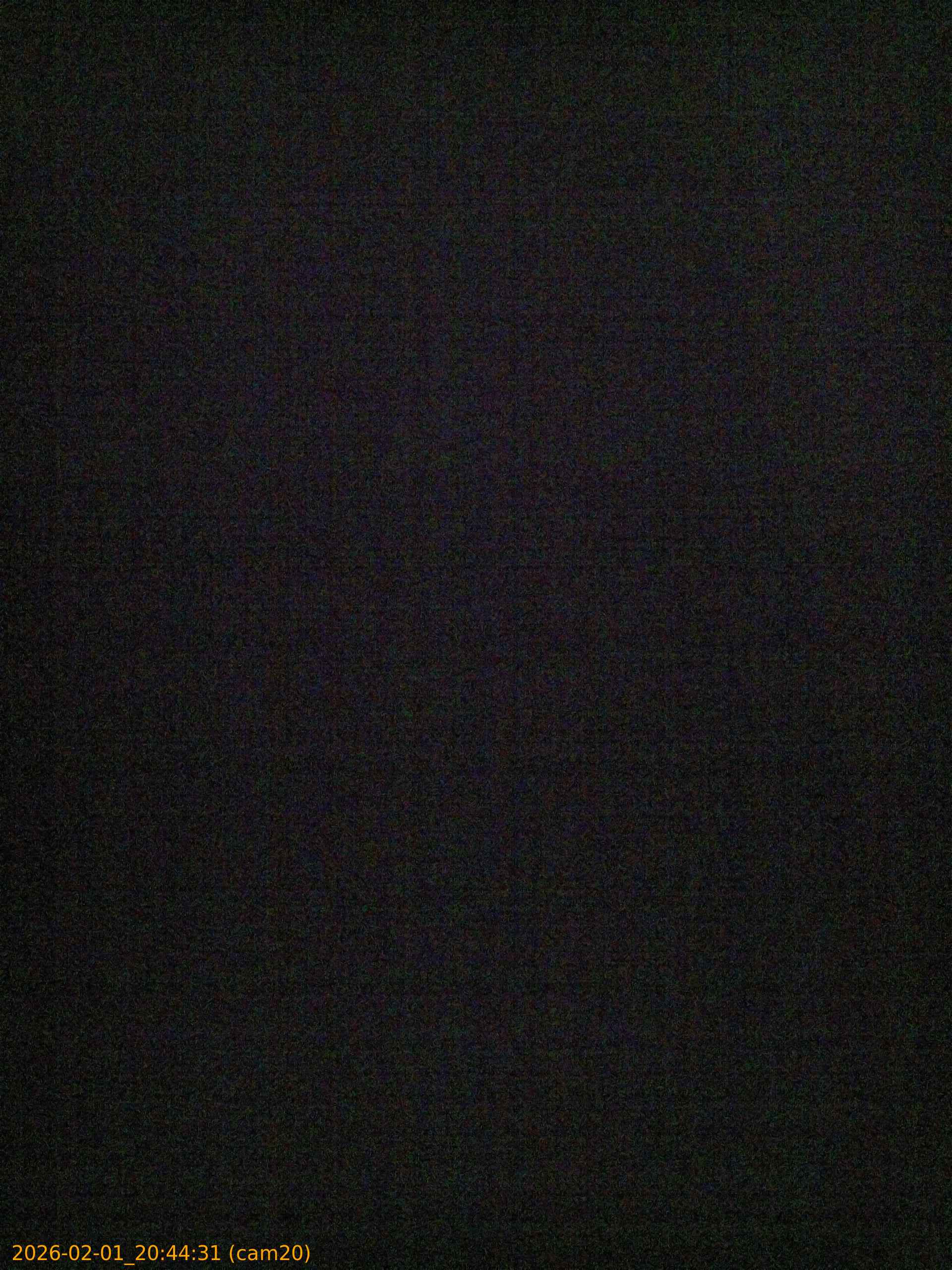 thumbnail_20260201204431