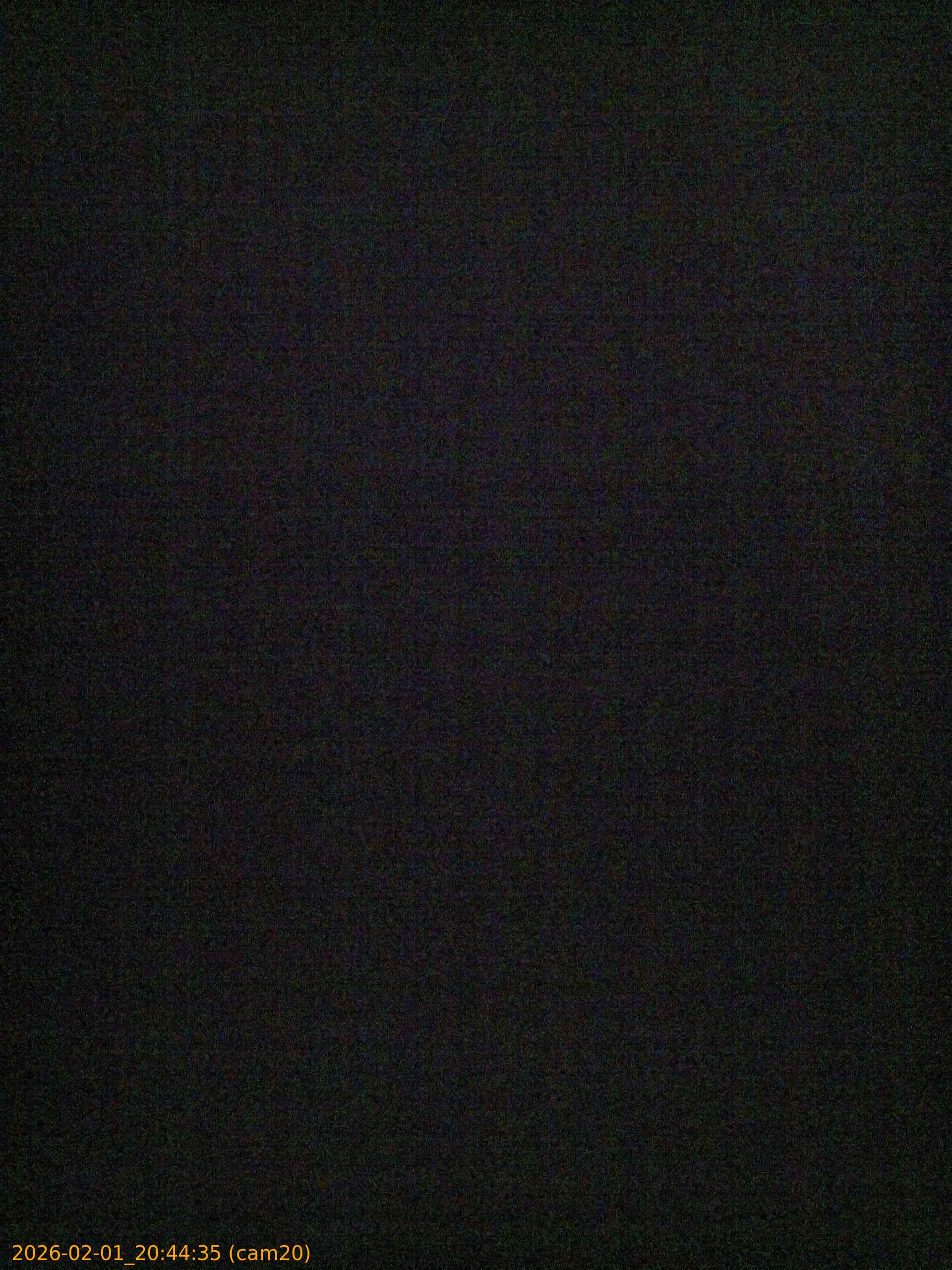 thumbnail_20260201204435