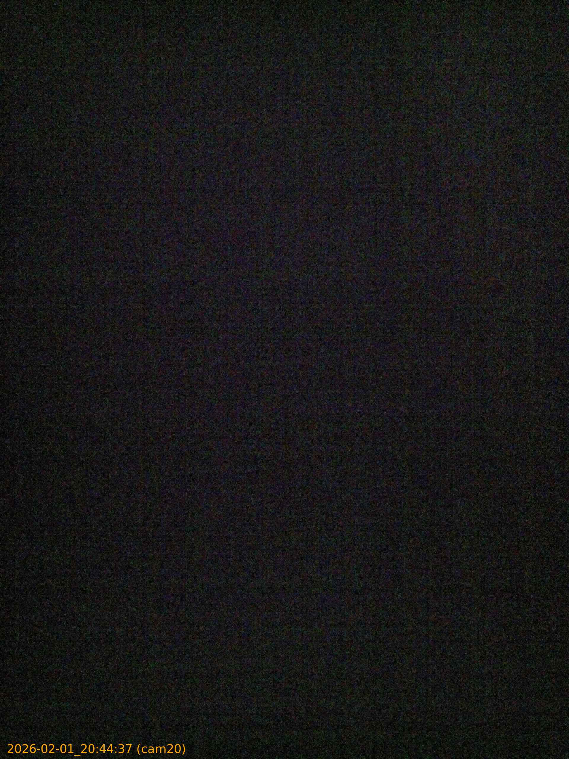 thumbnail_20260201204437