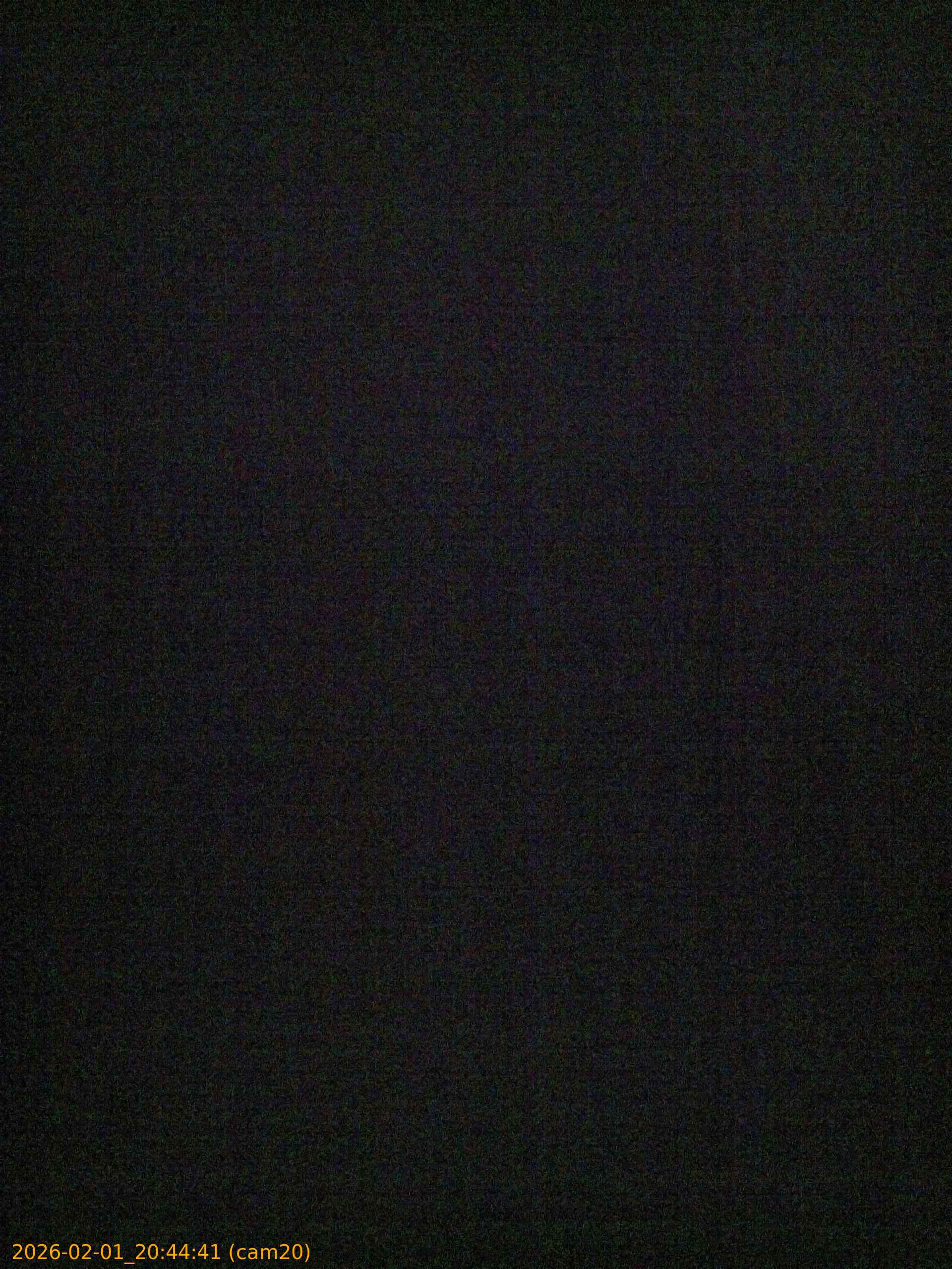 thumbnail_20260201204441