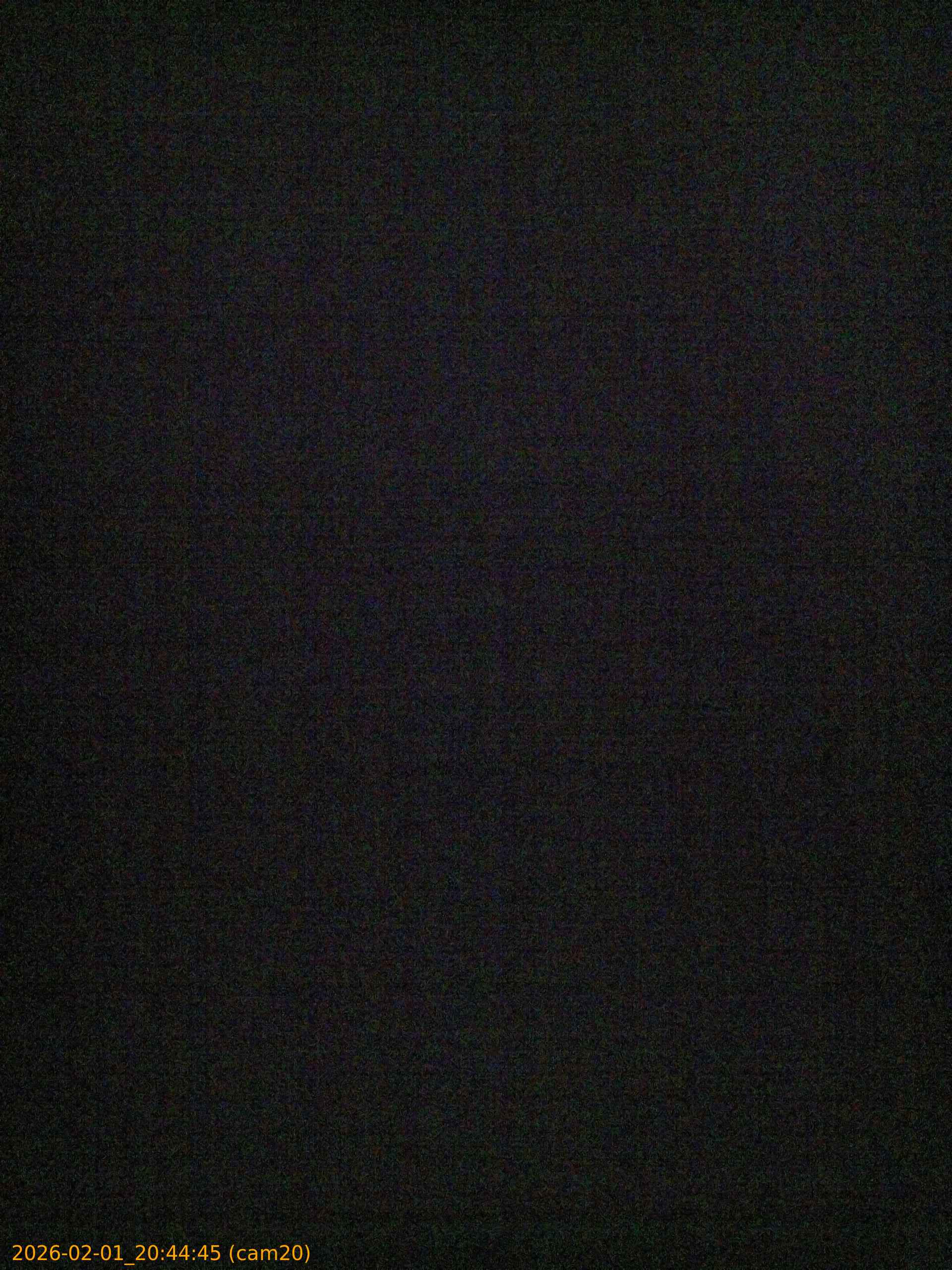 thumbnail_20260201204445