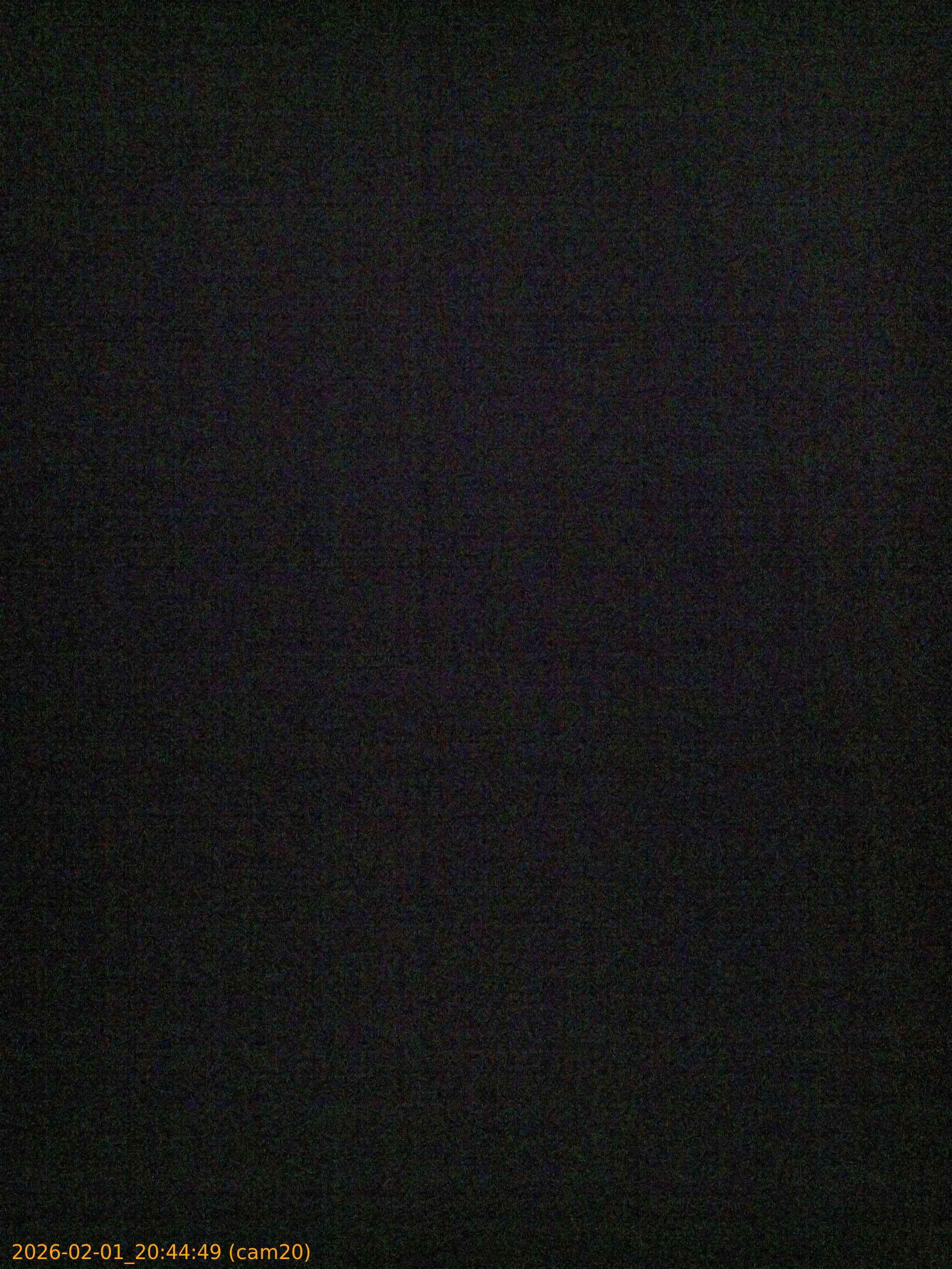 thumbnail_20260201204449