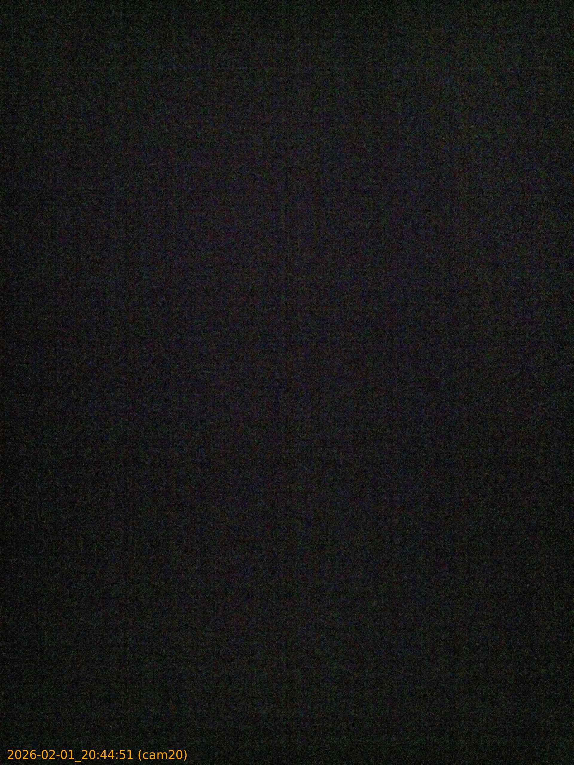 thumbnail_20260201204451