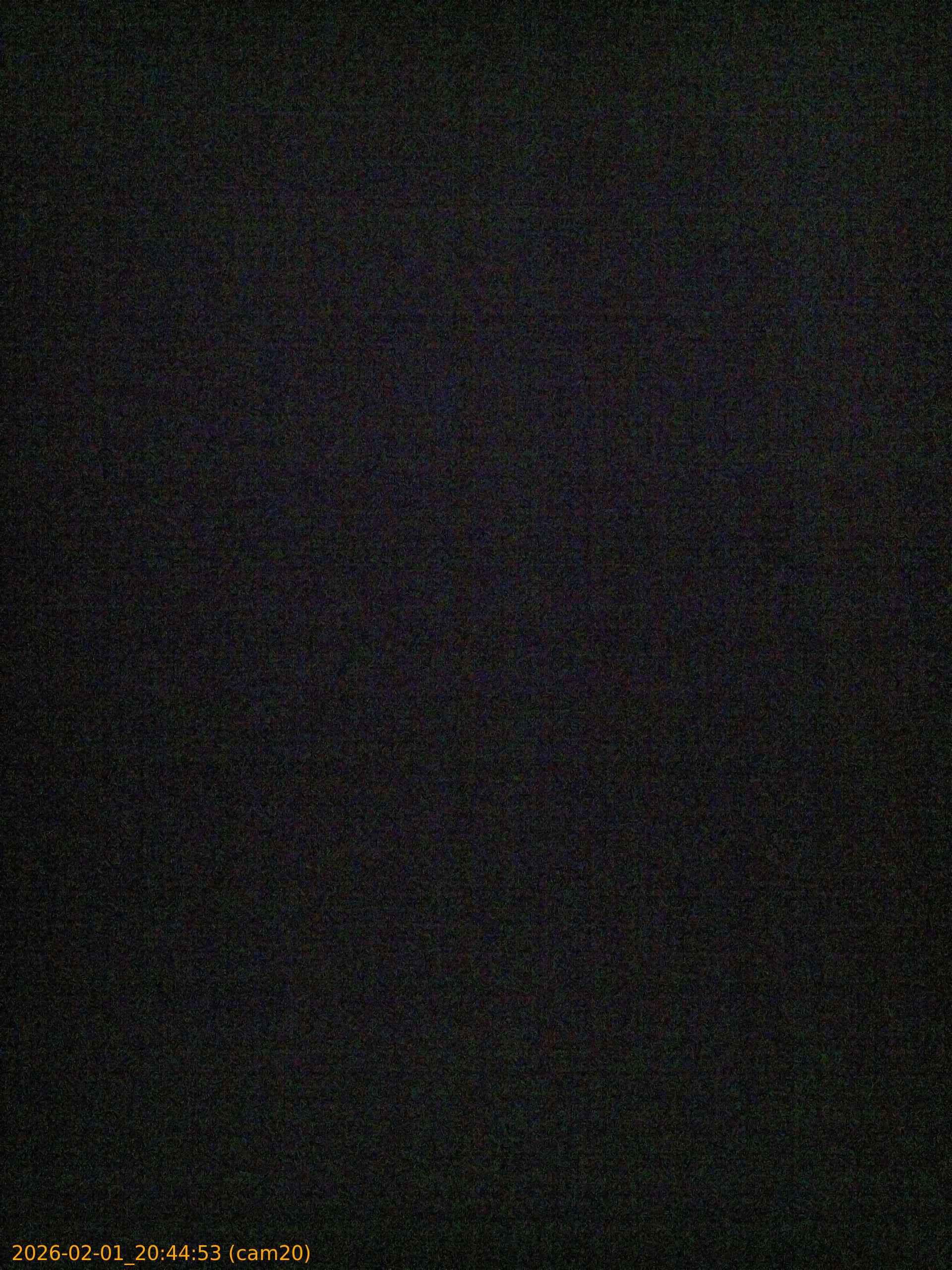 thumbnail_20260201204453