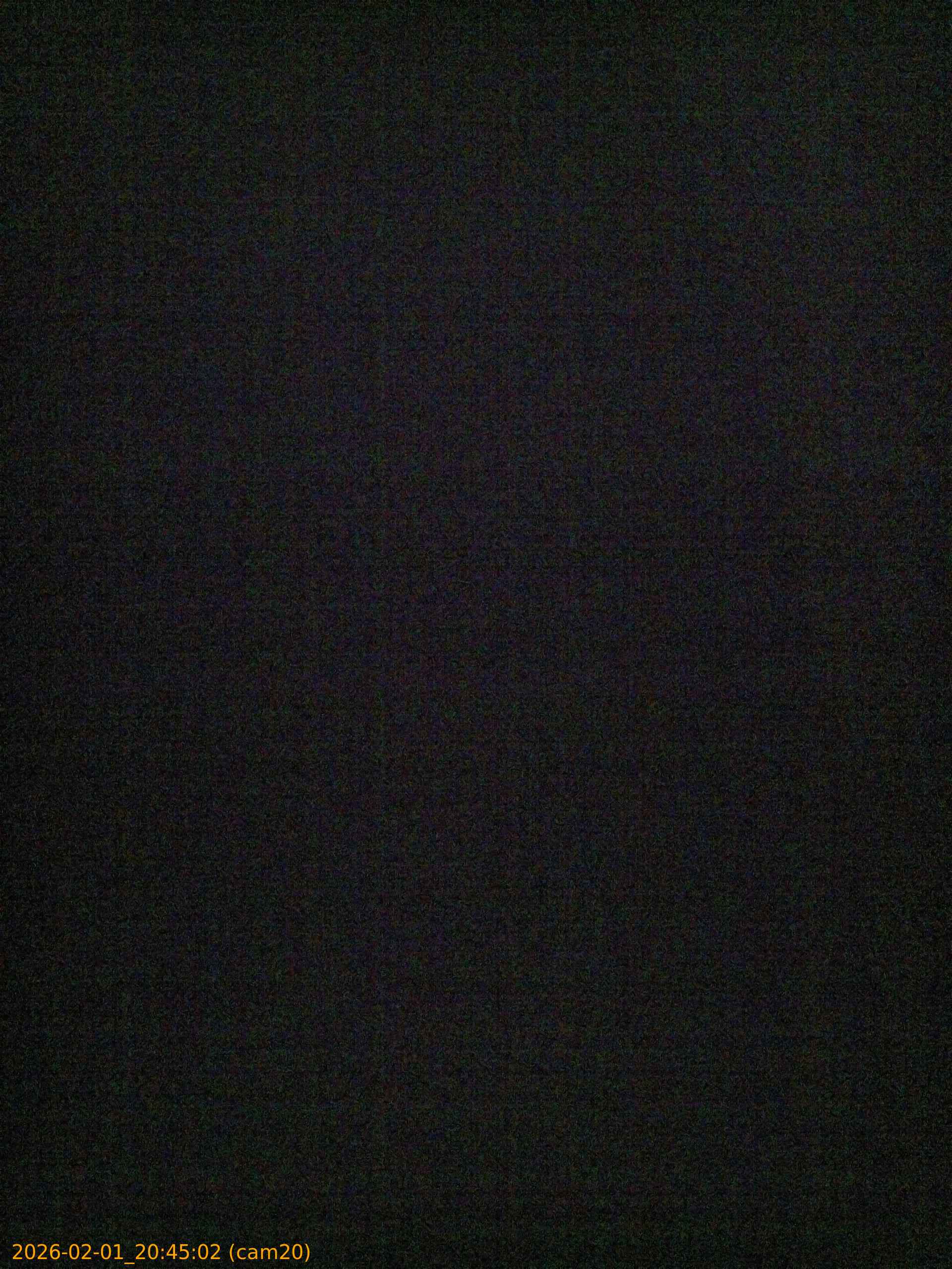 thumbnail_20260201204502