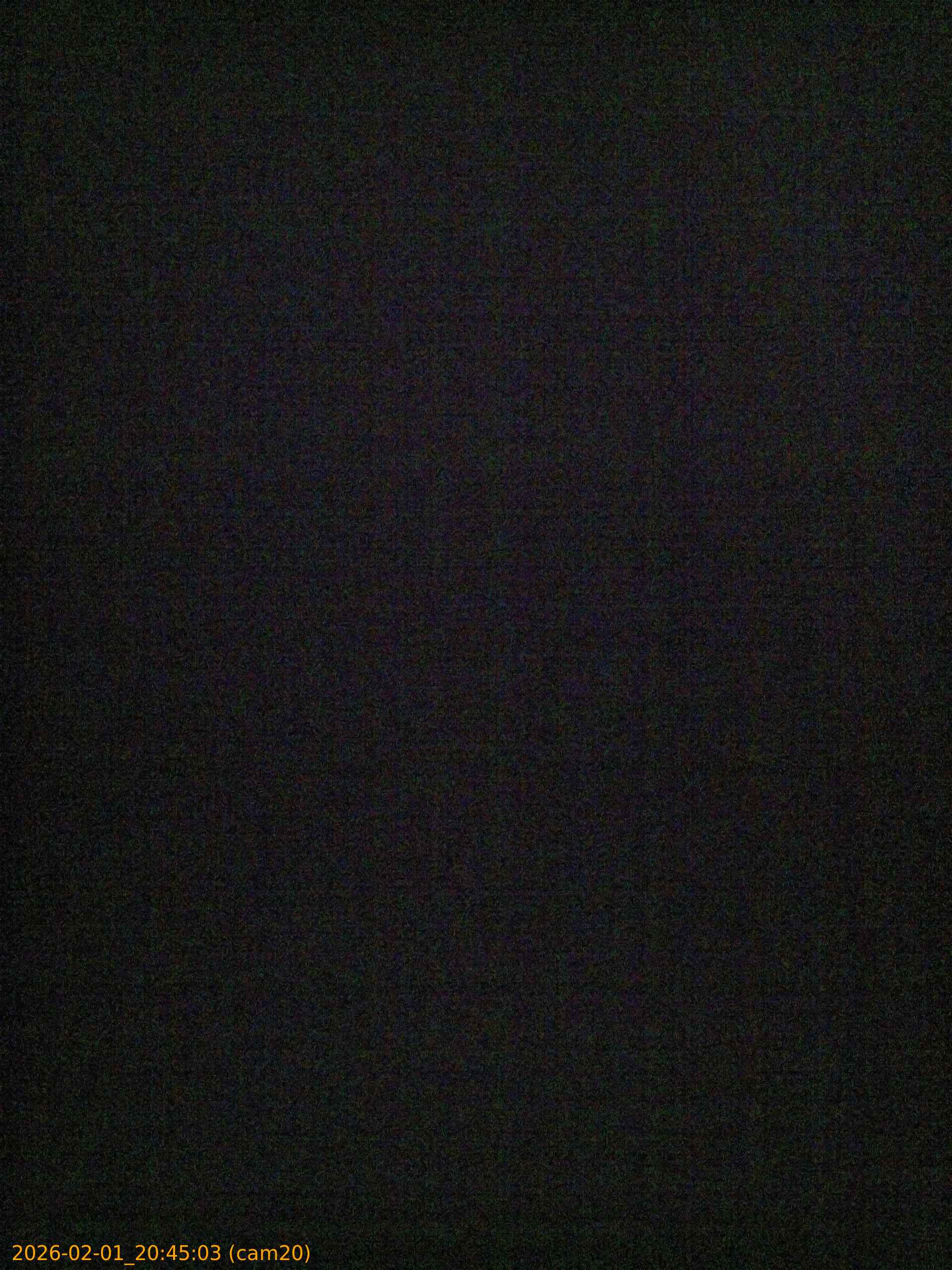 thumbnail_20260201204503