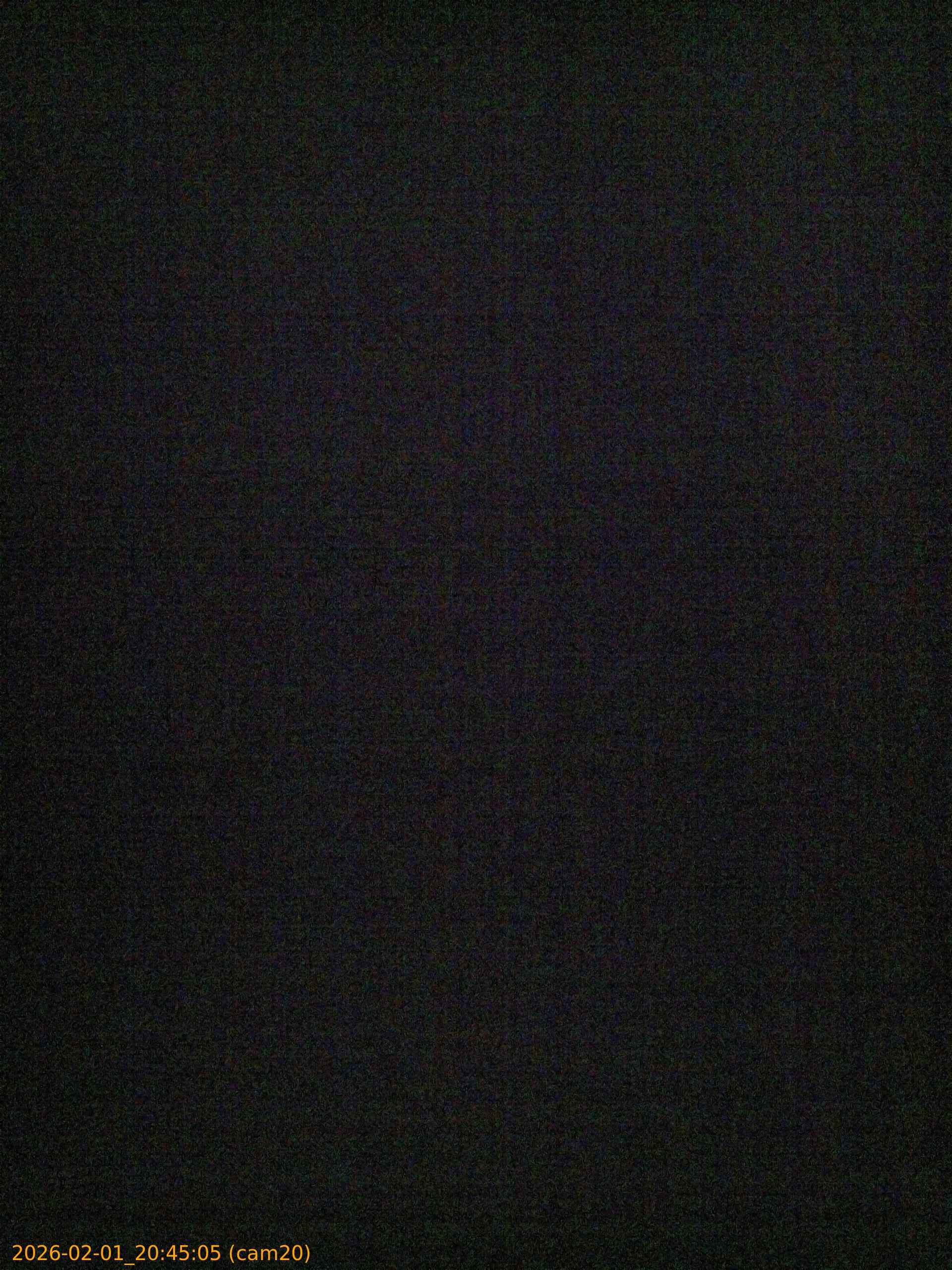 thumbnail_20260201204505