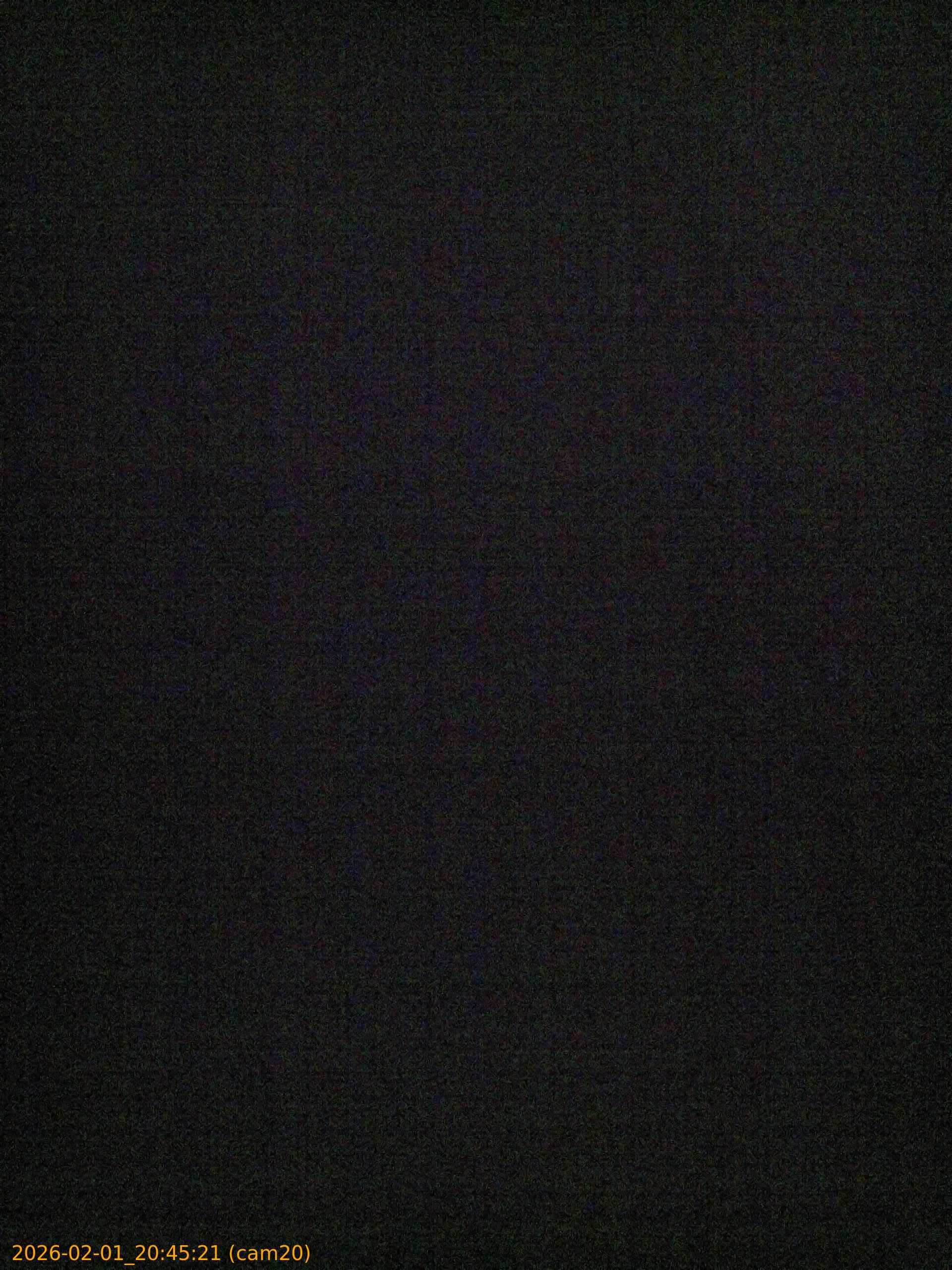 thumbnail_20260201204521