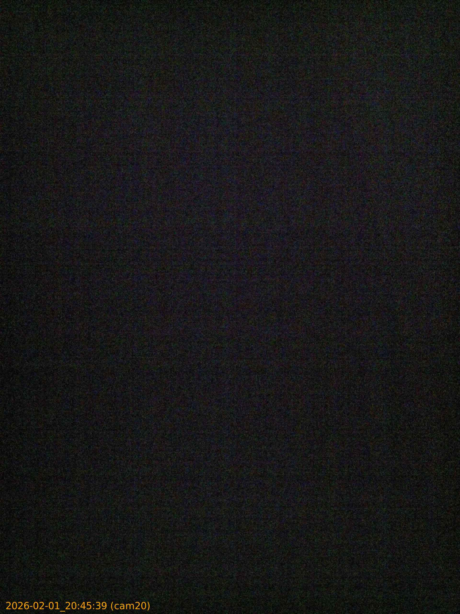 thumbnail_20260201204539