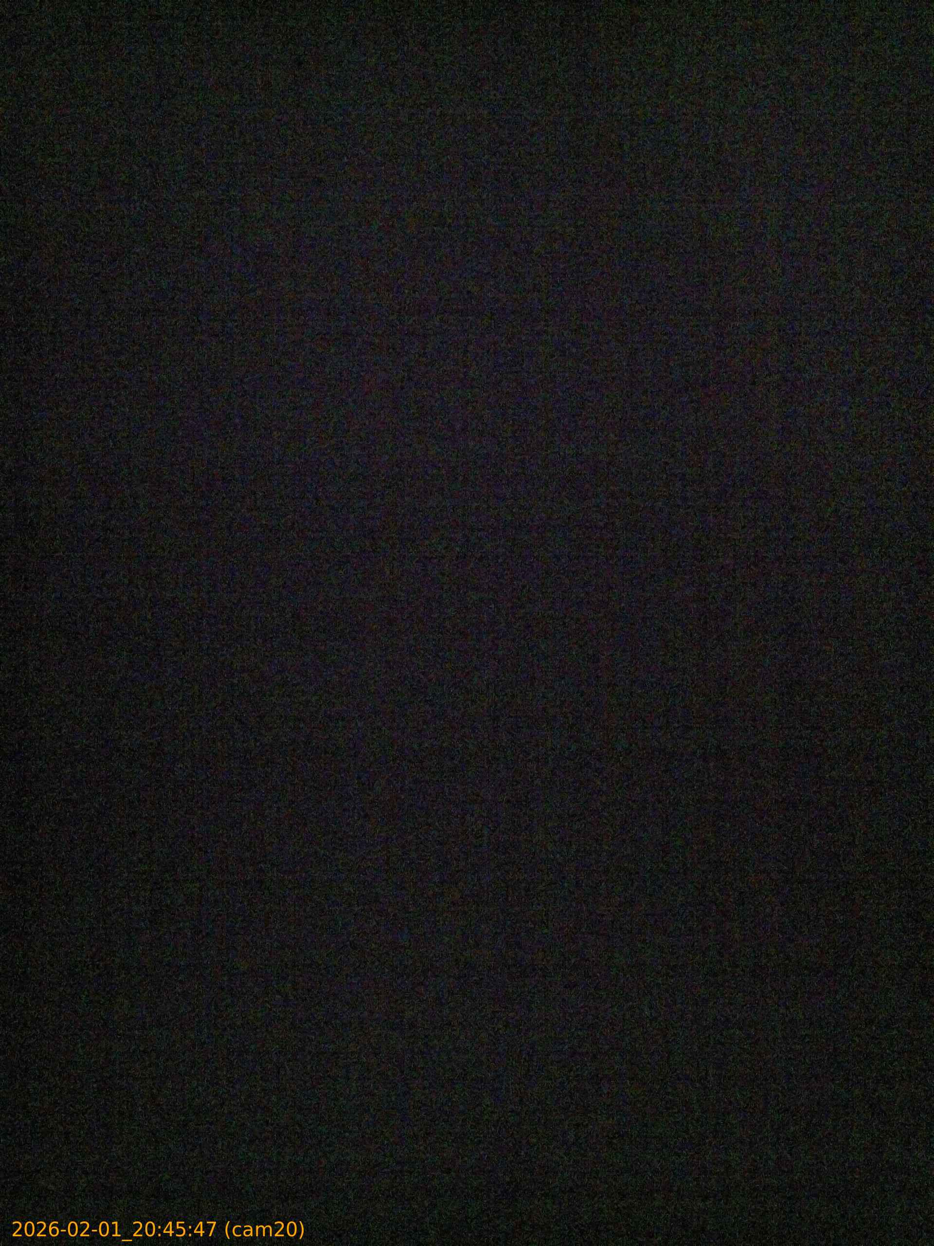 thumbnail_20260201204547