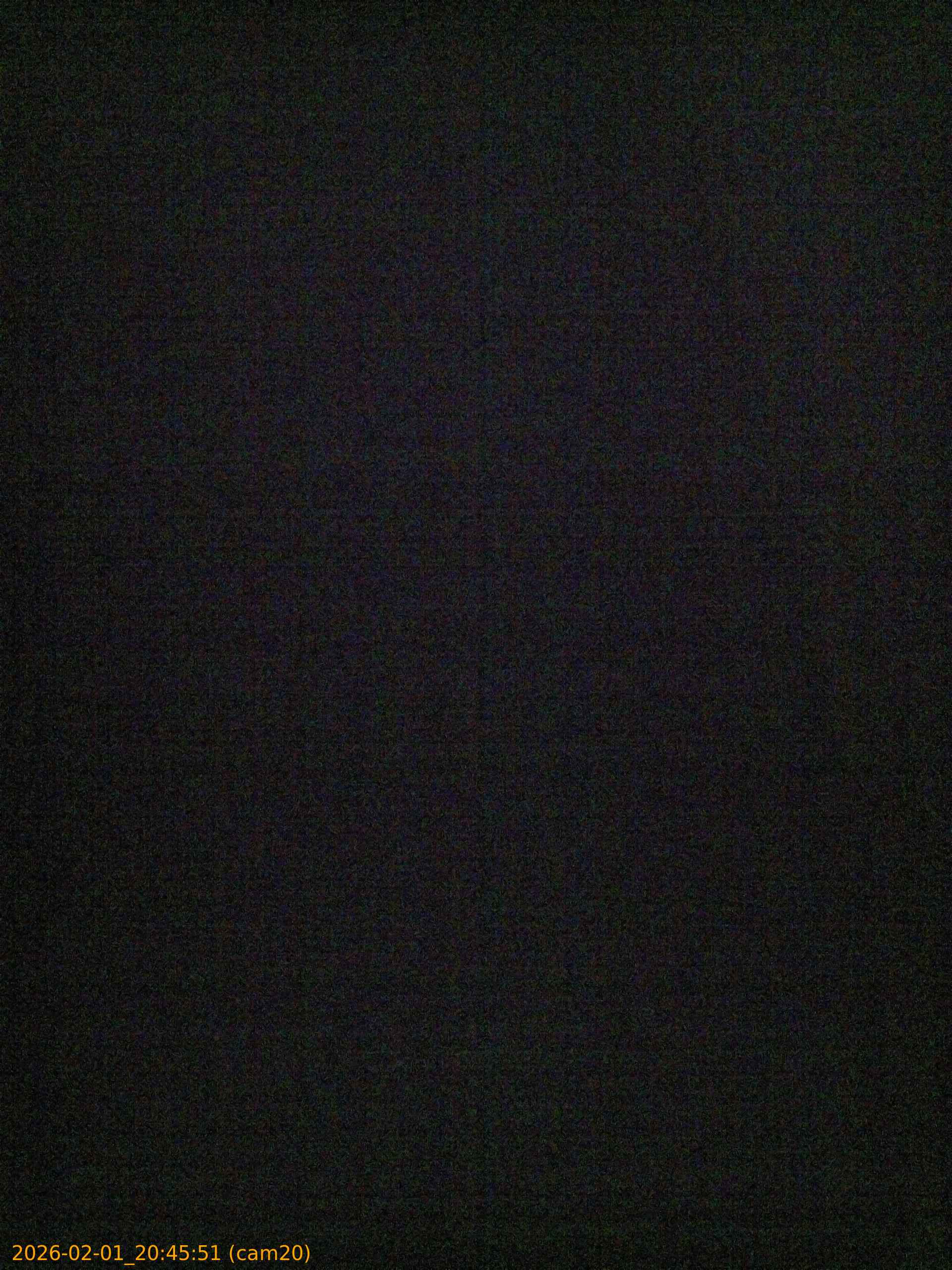 thumbnail_20260201204551