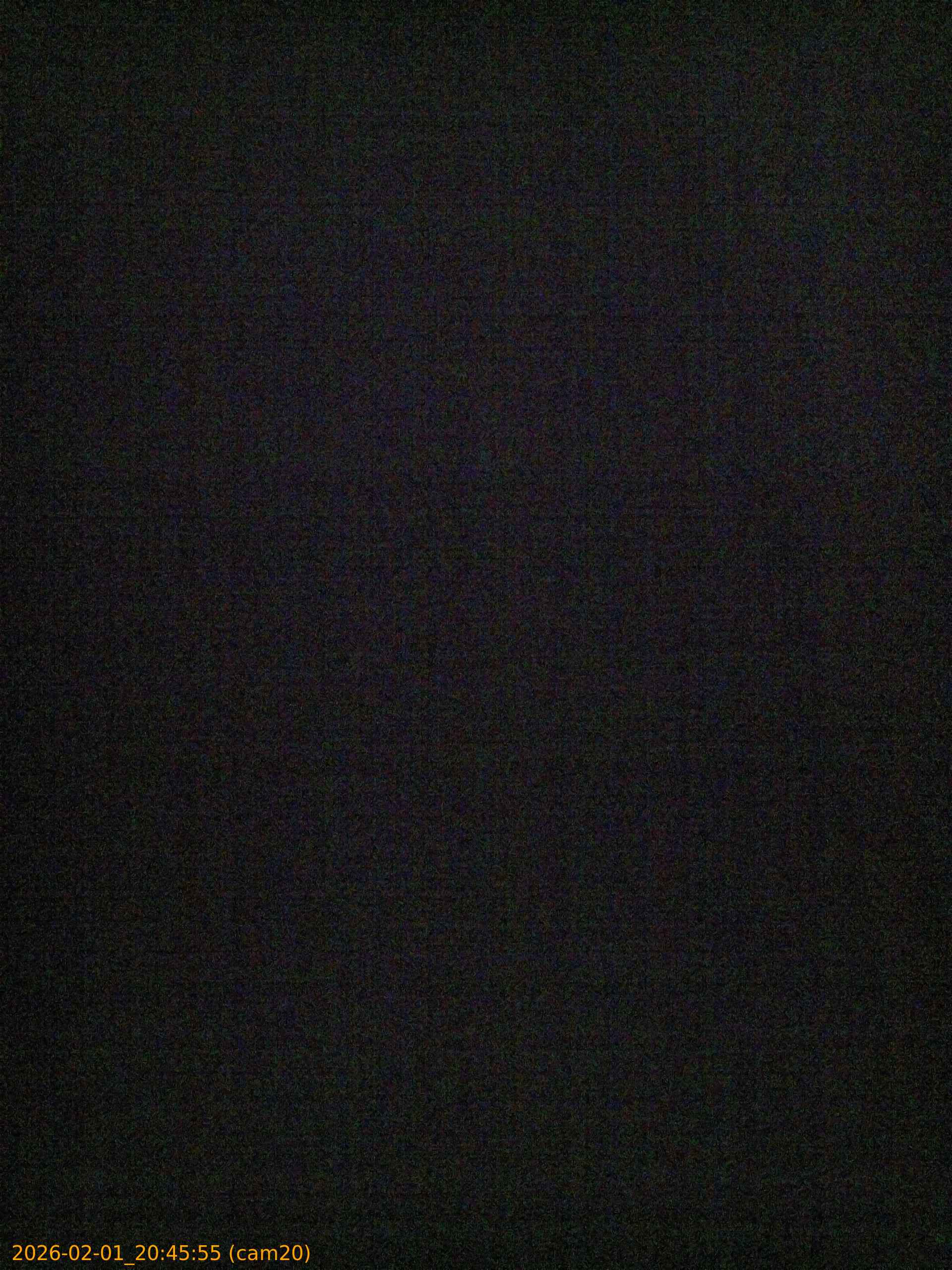 thumbnail_20260201204555