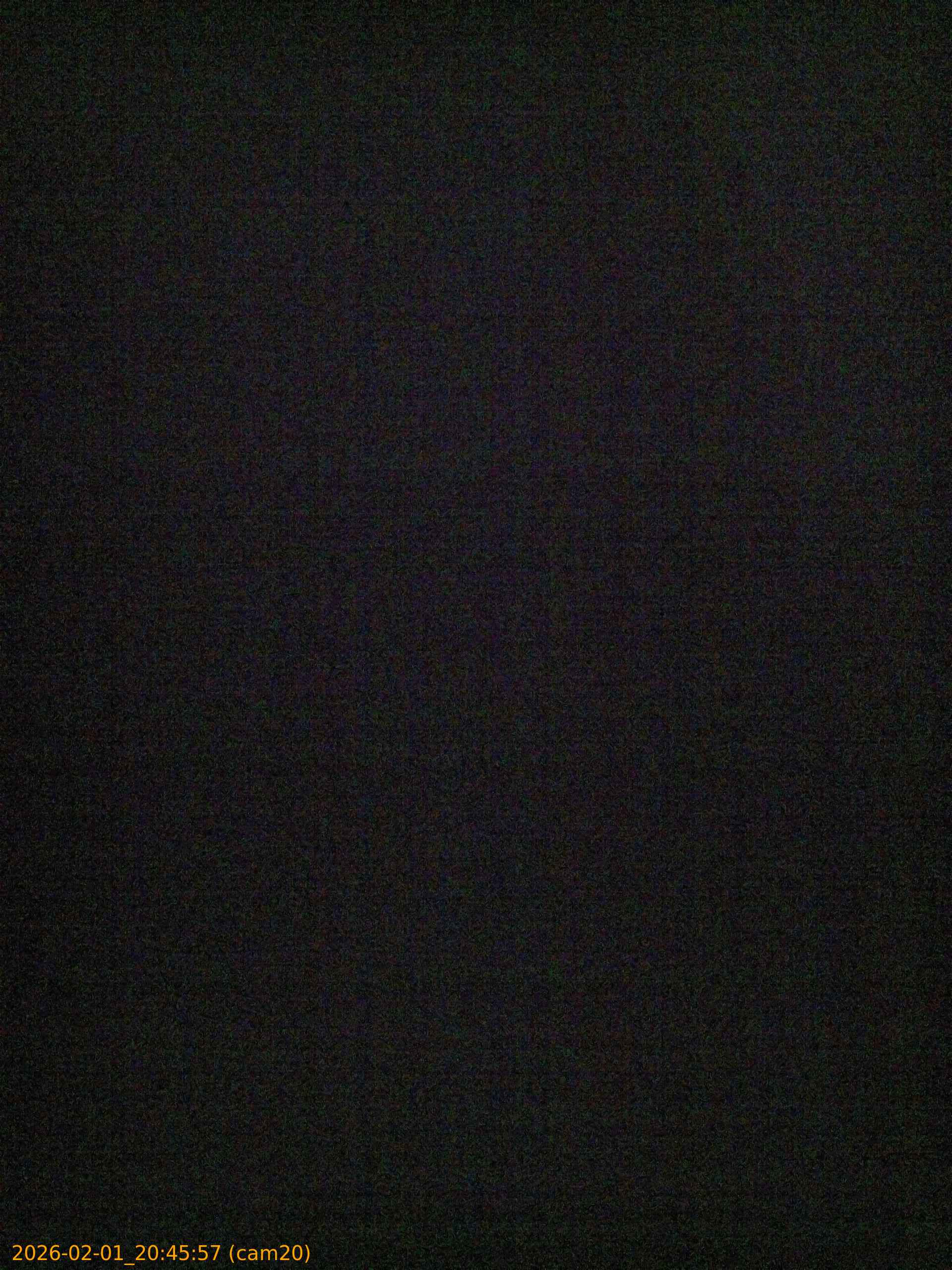 thumbnail_20260201204557