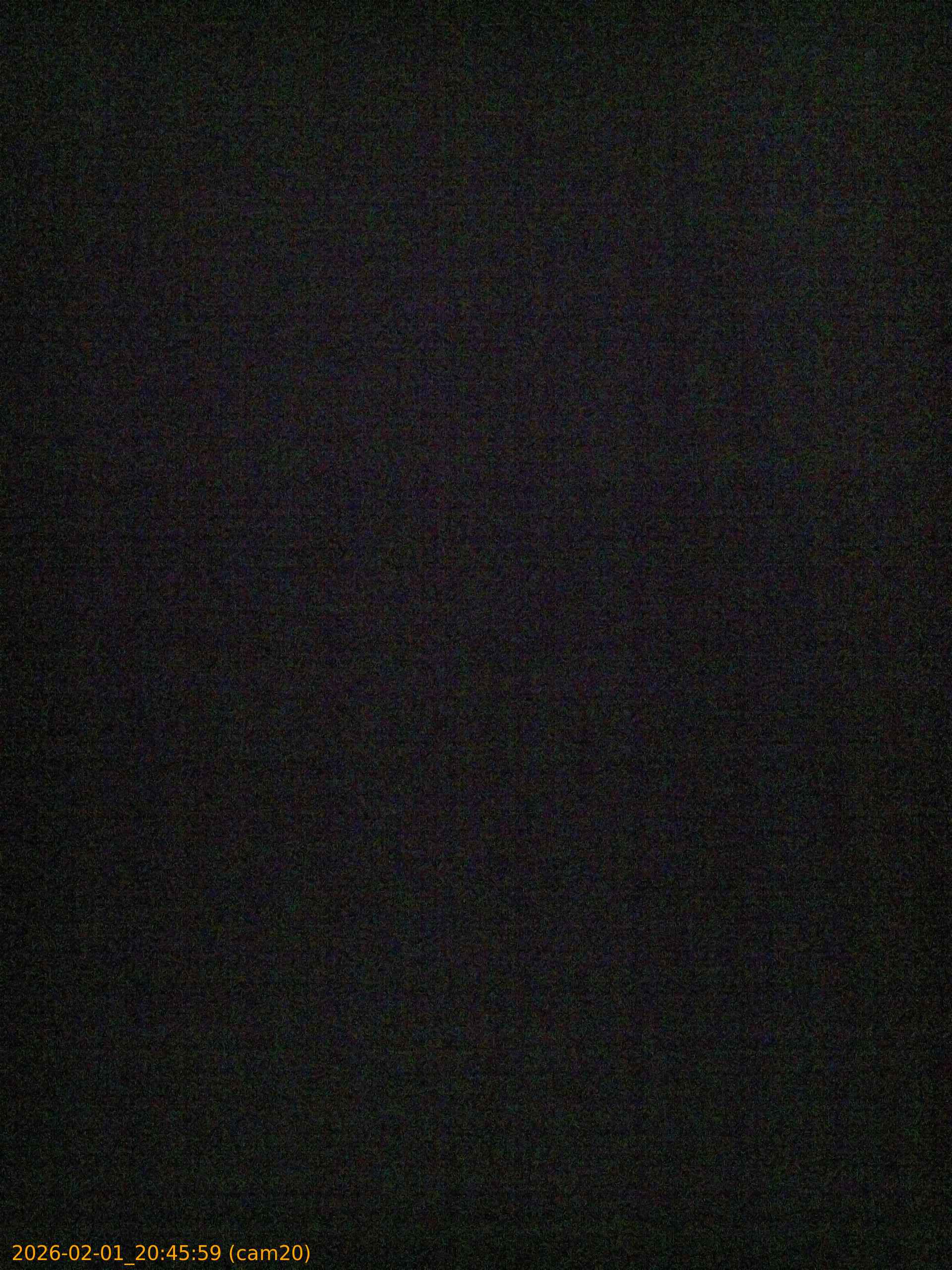 thumbnail_20260201204559