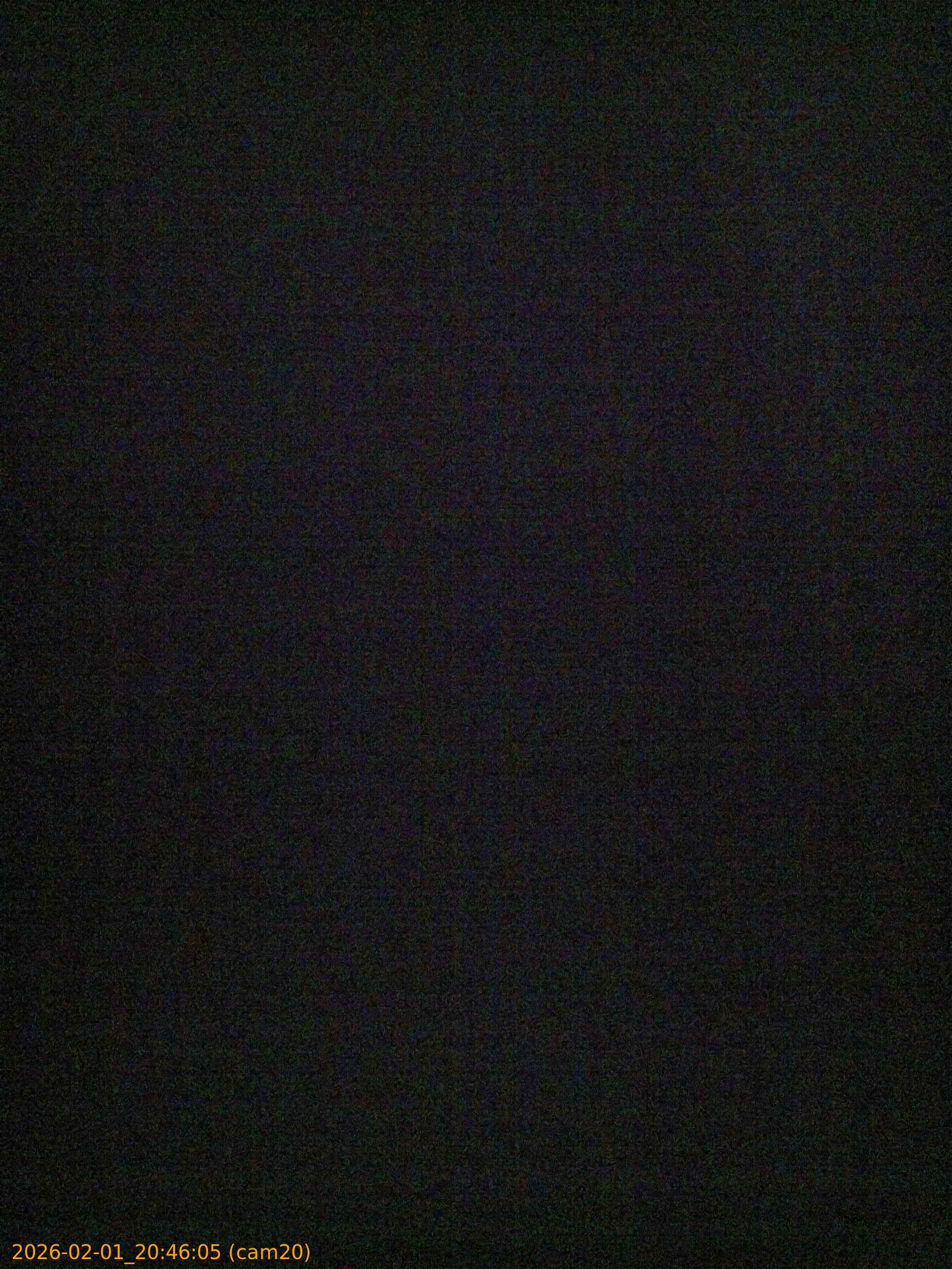 thumbnail_20260201204605